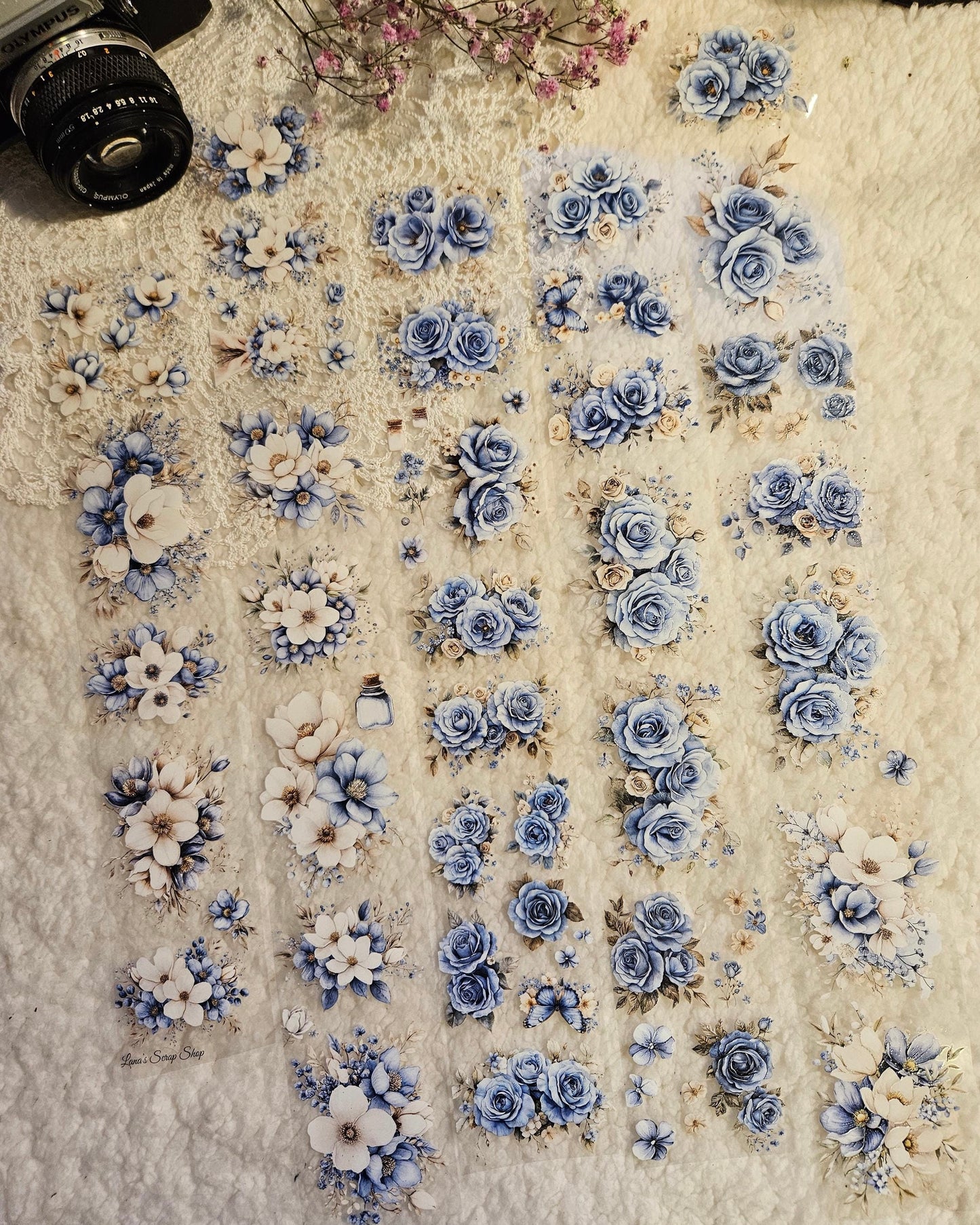 Pettape | blue petal dance