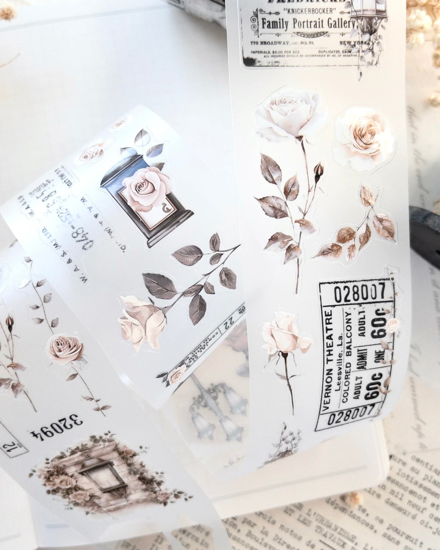 Pettape | rose post