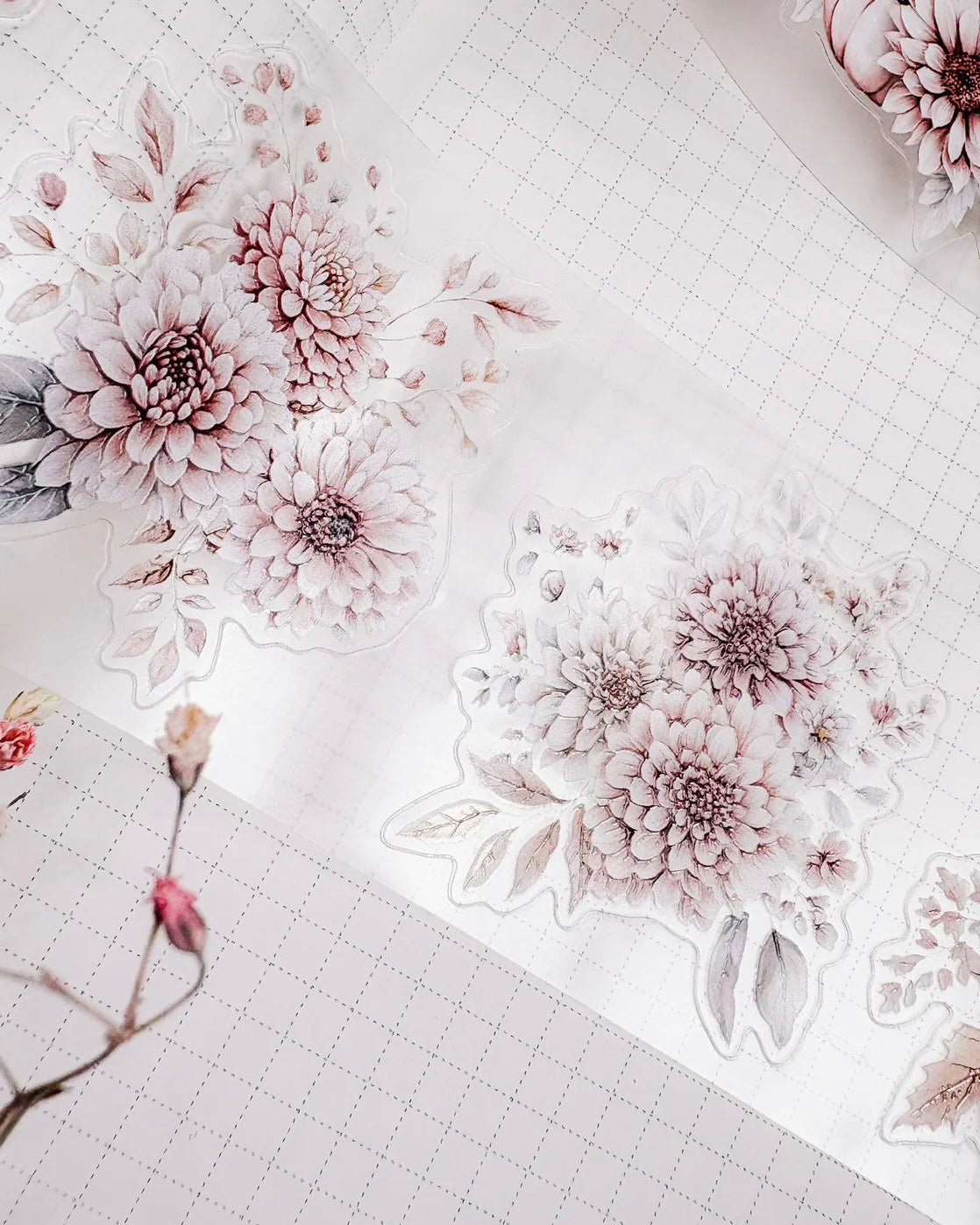 Pettape | cozy fall pumpkins