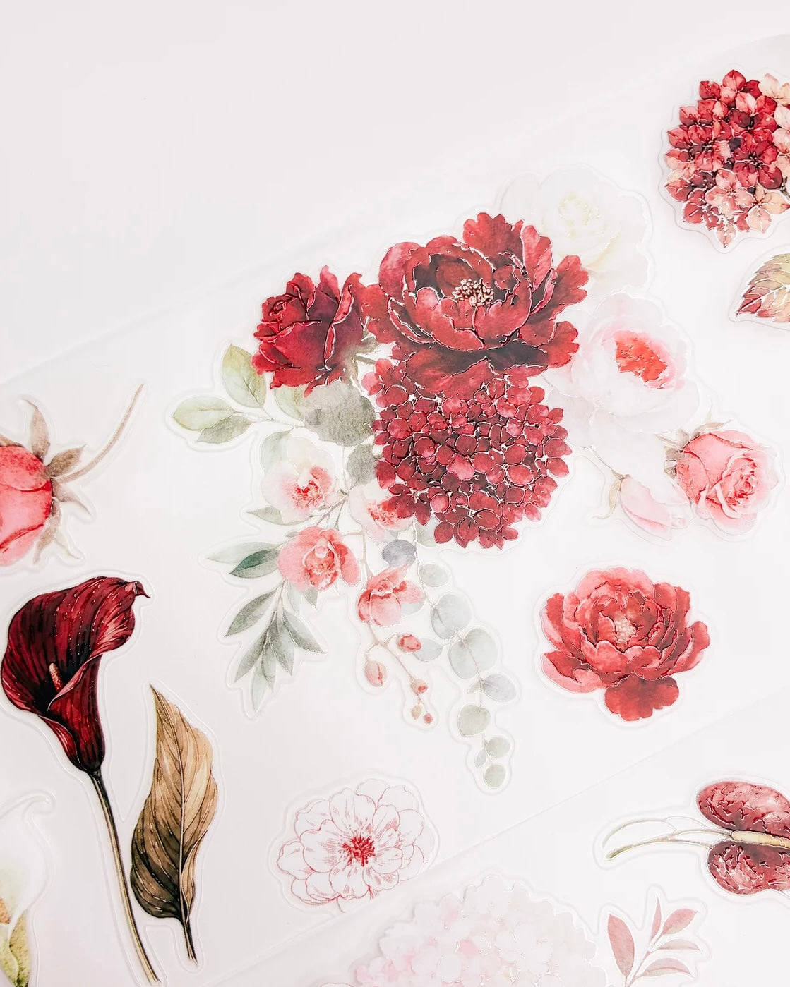Pettape | Sept26 | flowers