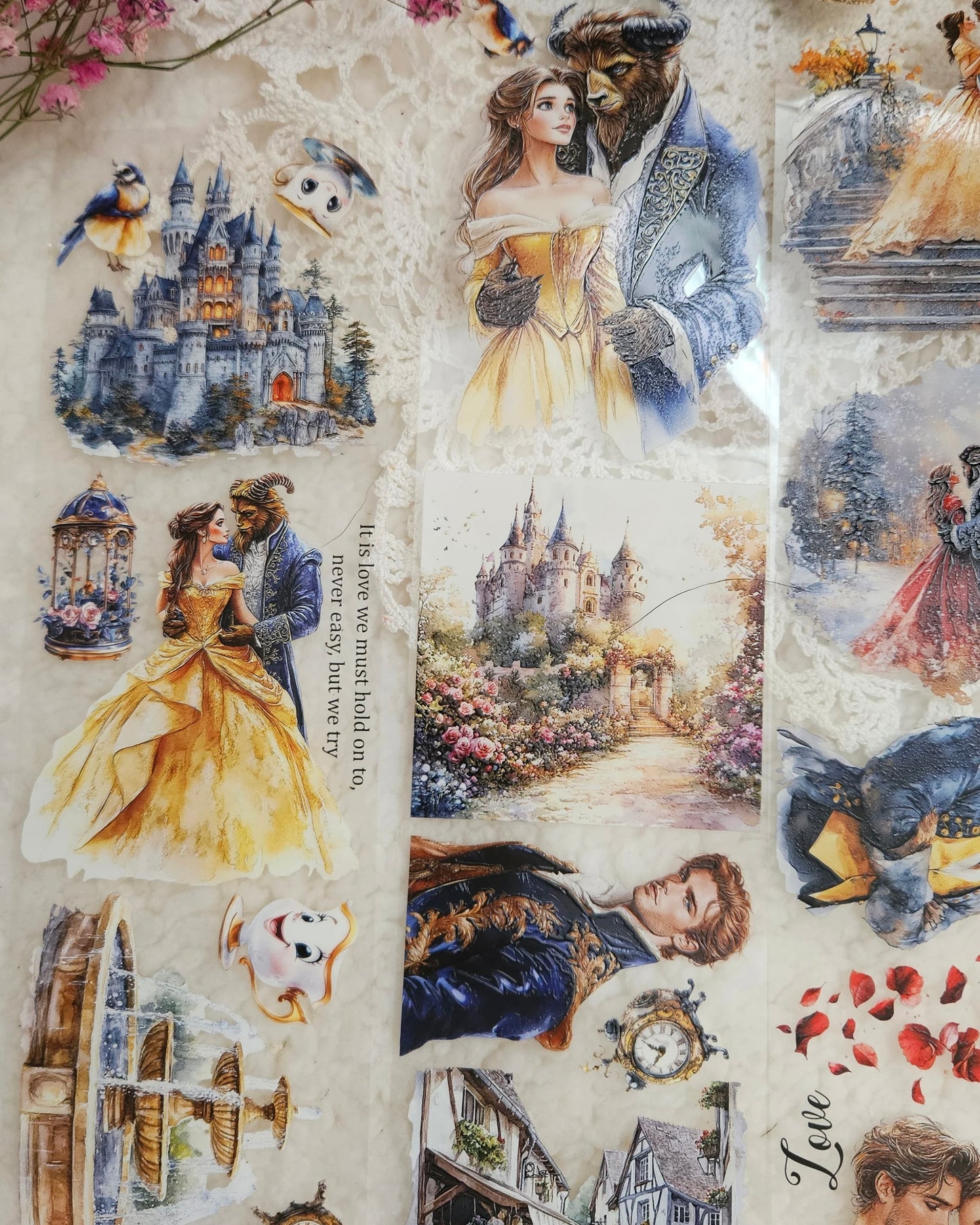 Pettape | beauty and the beast