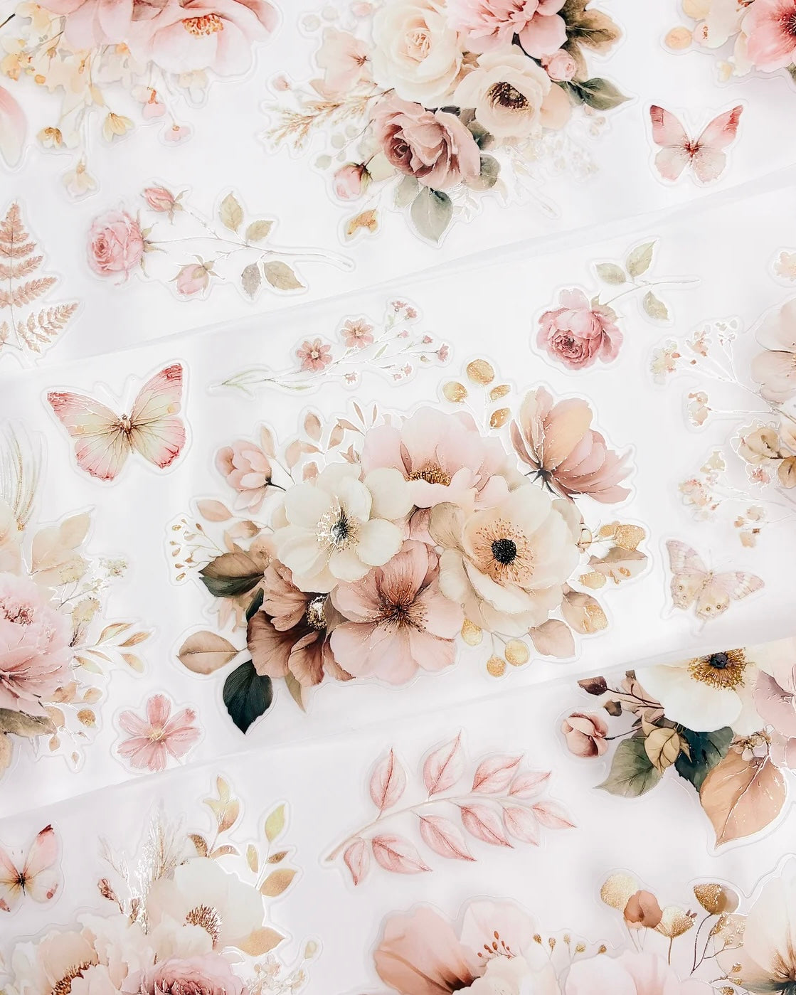 Pettape | oct26 | flowers