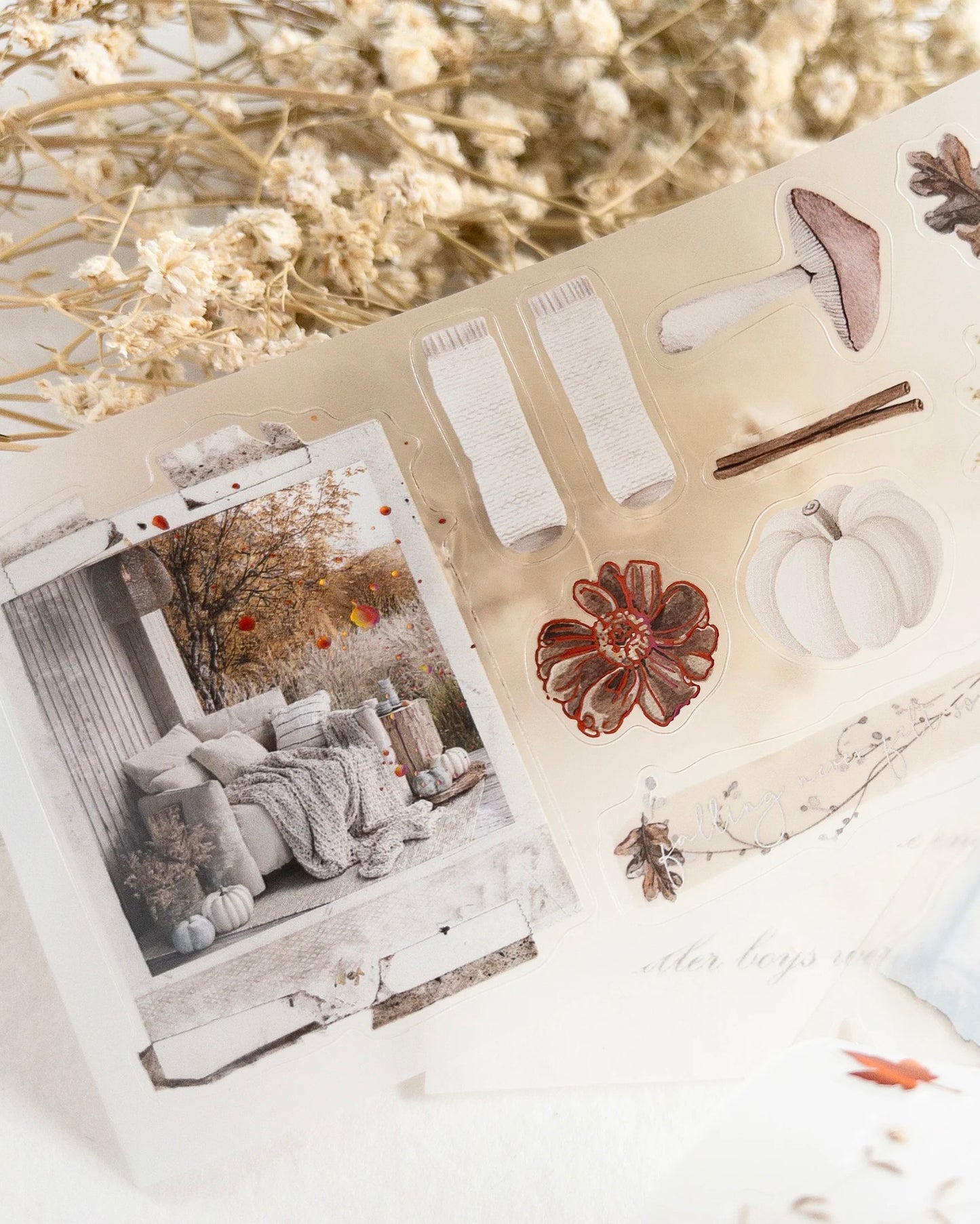 Pettape | autumn pause