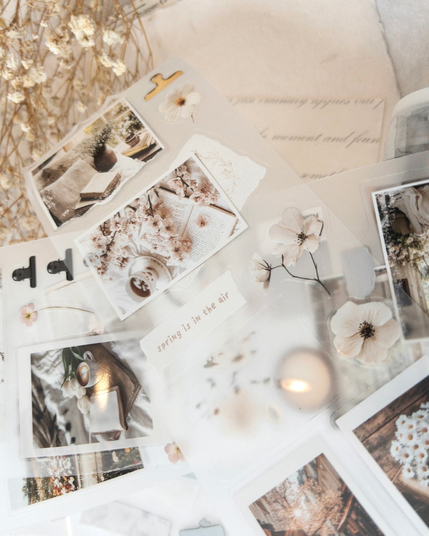 Pettape | spring in my journal