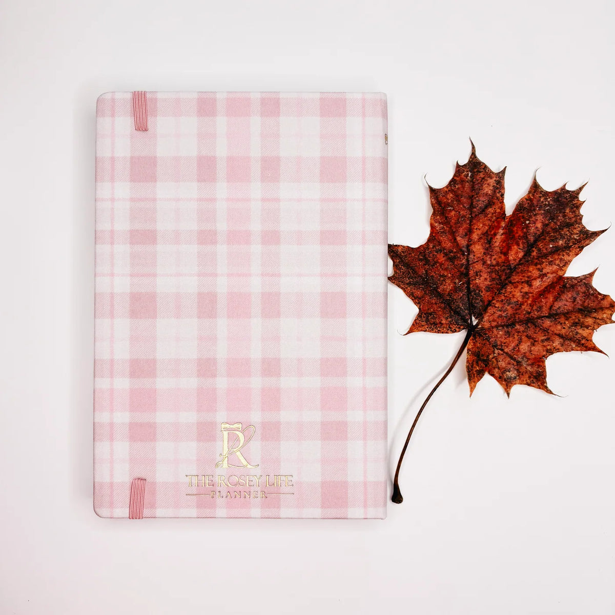 Planner Rosey | cozy fall 3.0