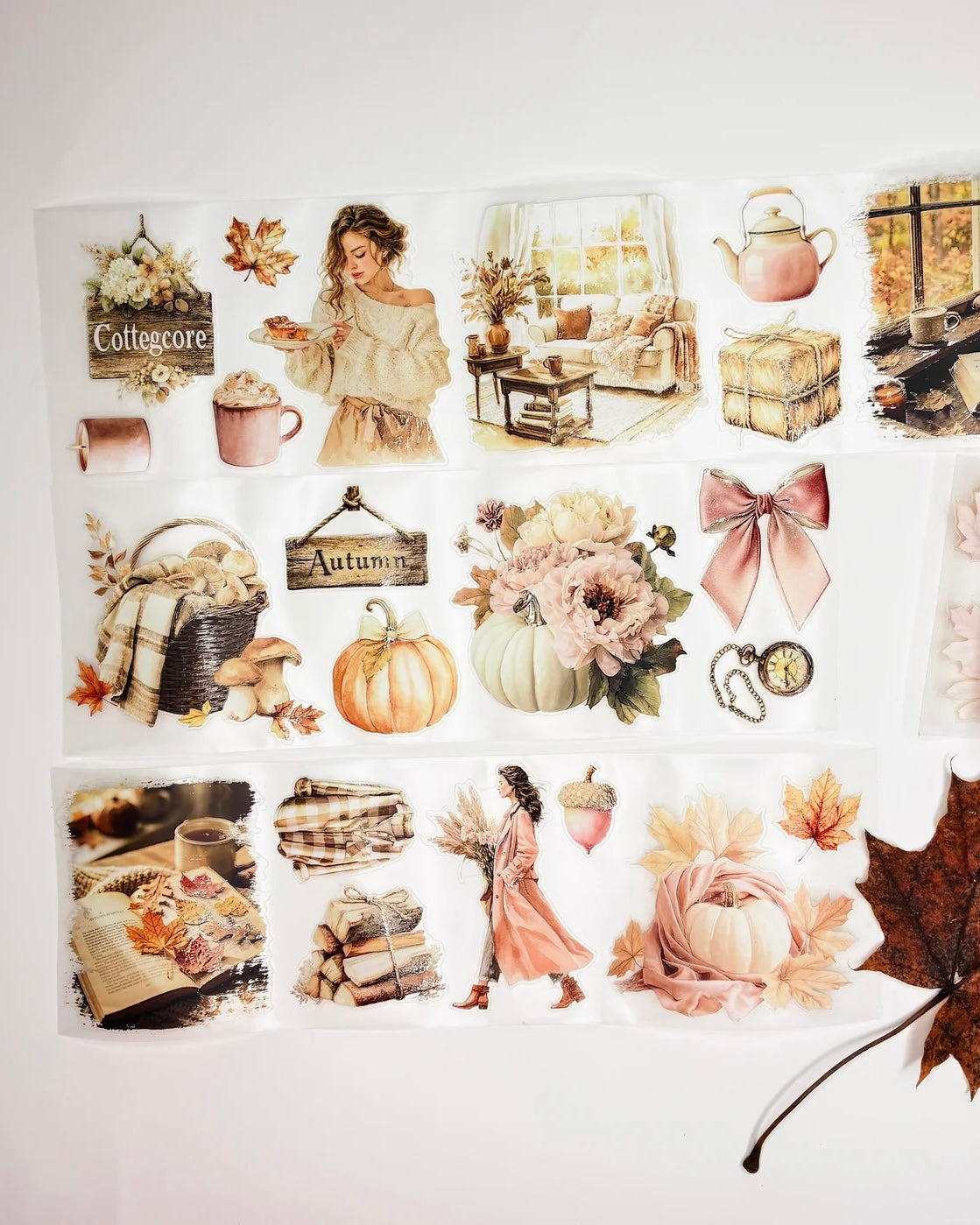 Pettape | cozy fall 3.0 (2)
