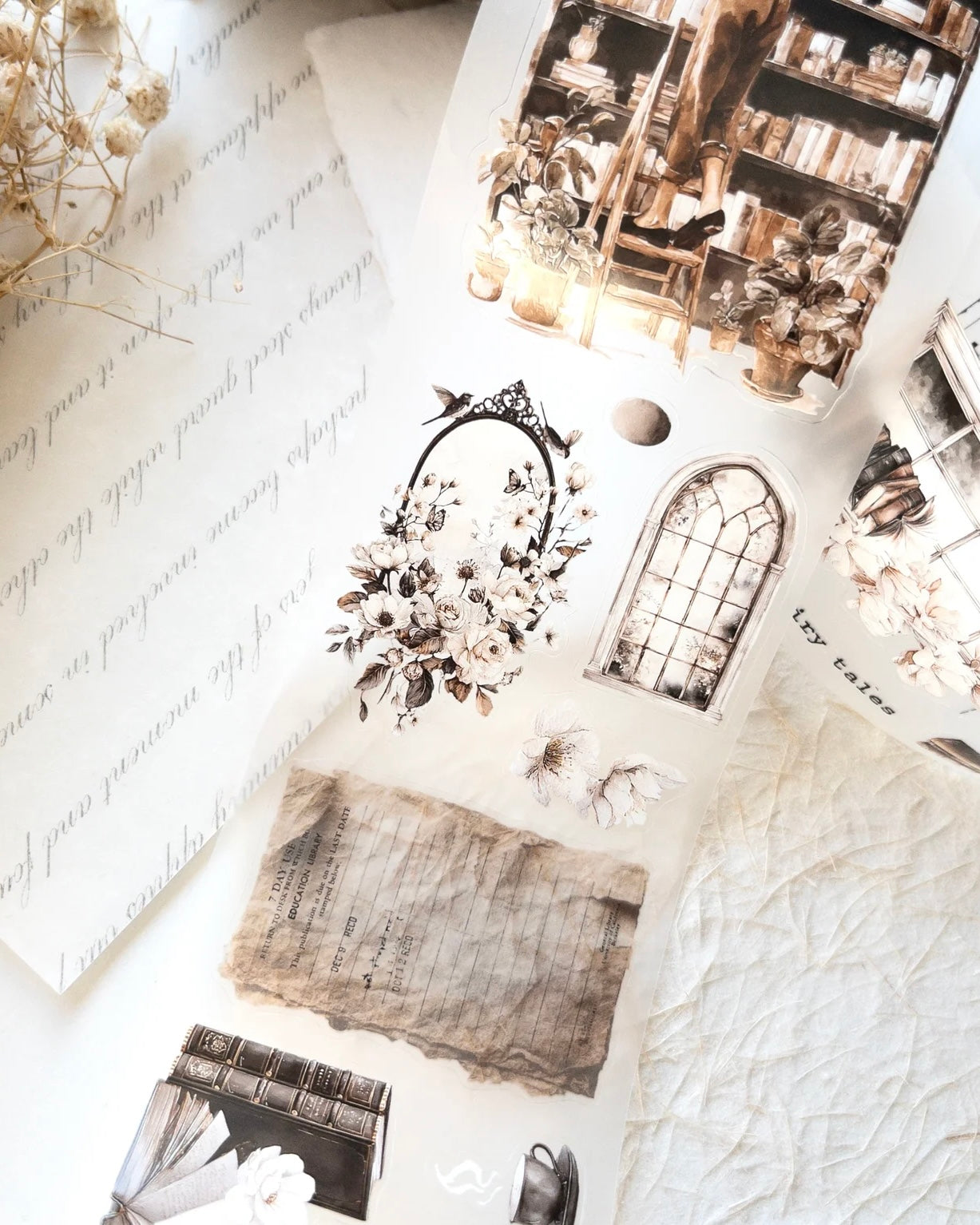 Pettape | cozy chapter