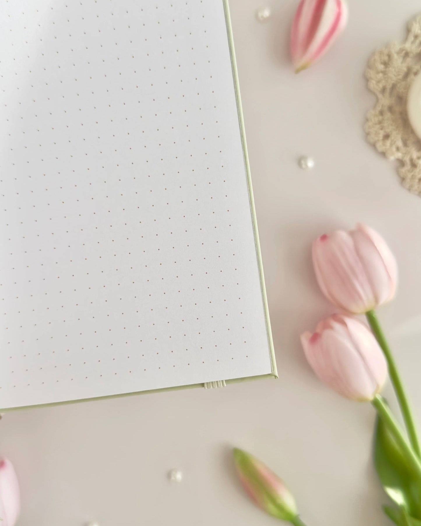 Journal | tulip spell book | aurora | A5 | dot