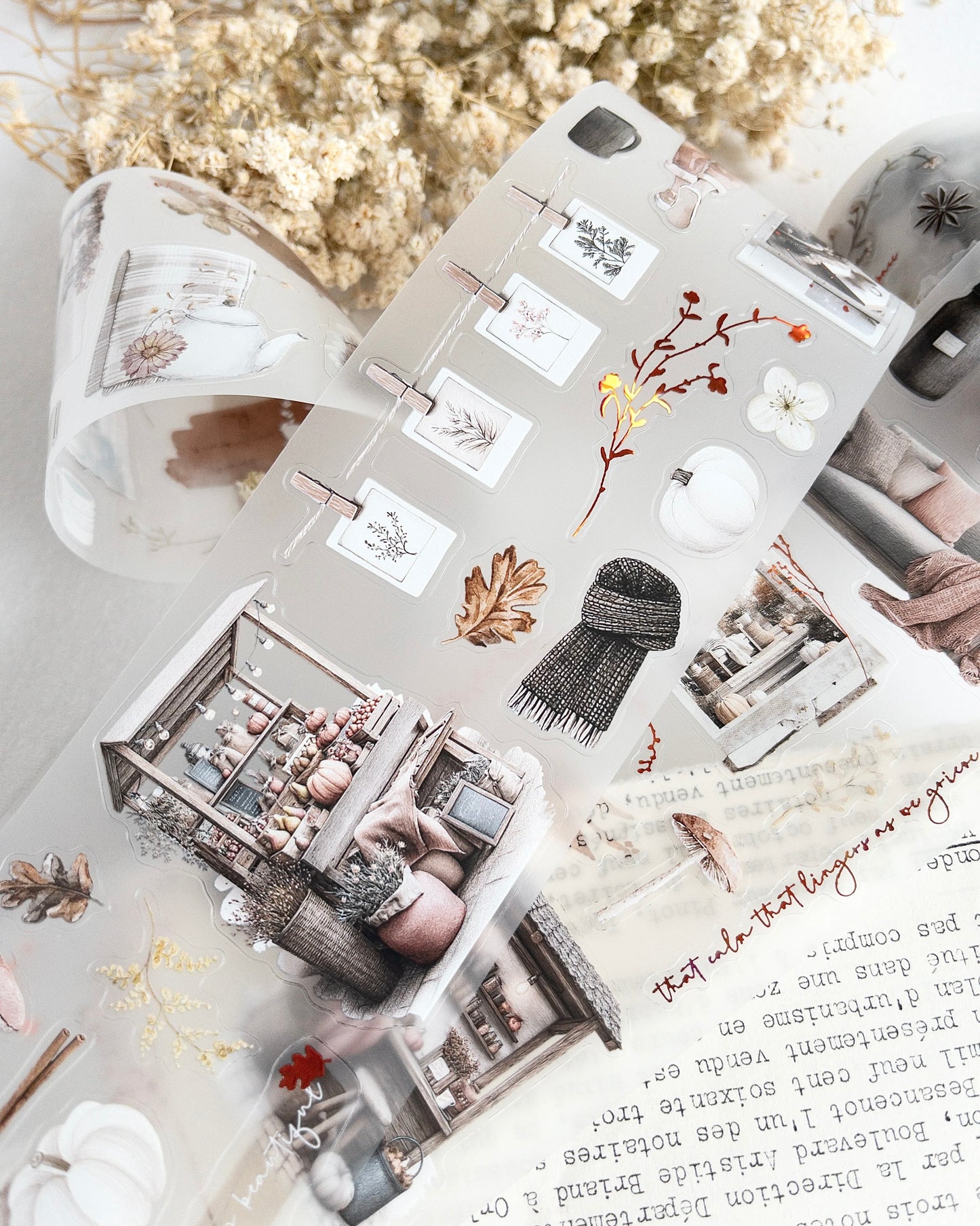 Pettape | autumn pause