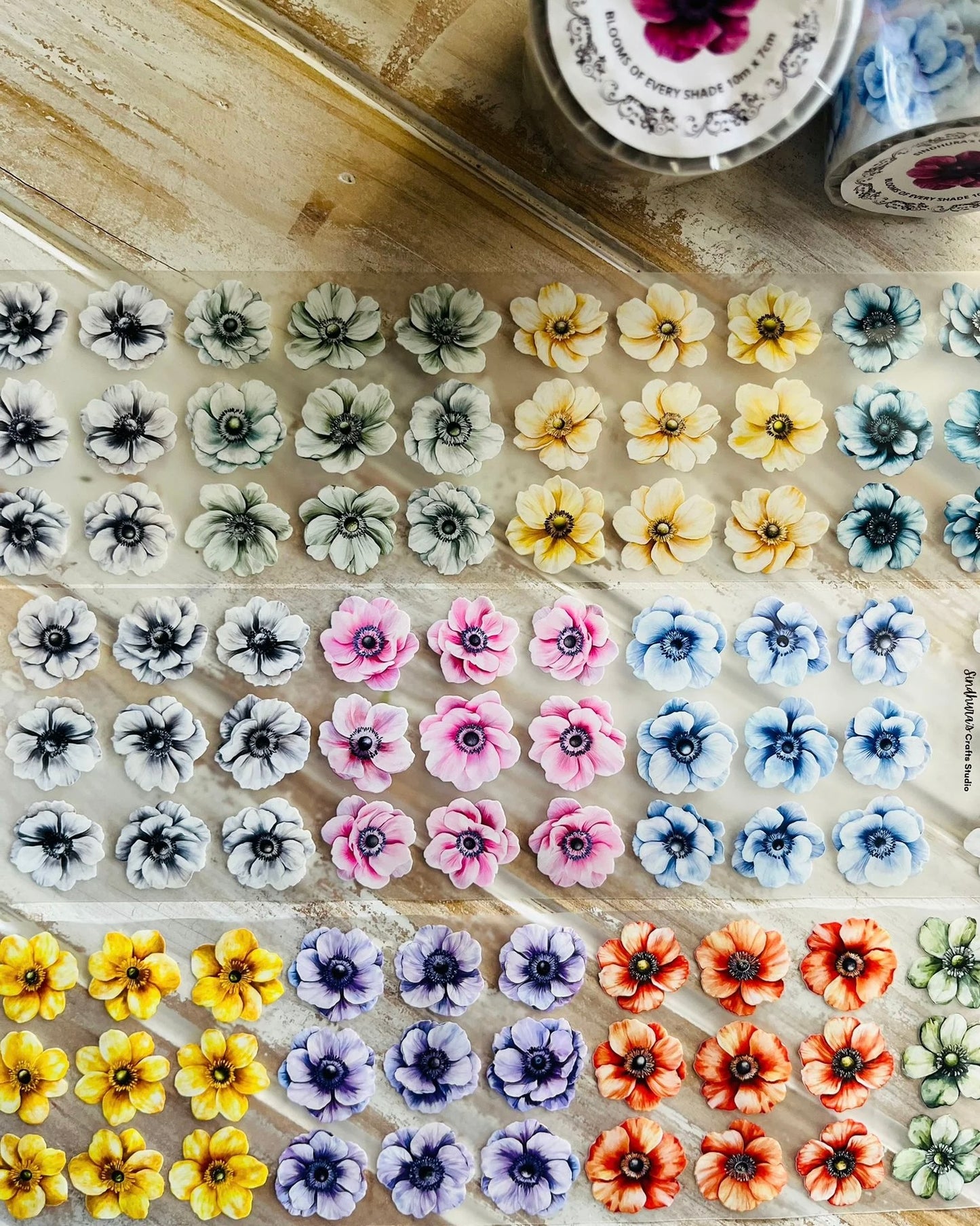 Pettape | Blooms of every shade