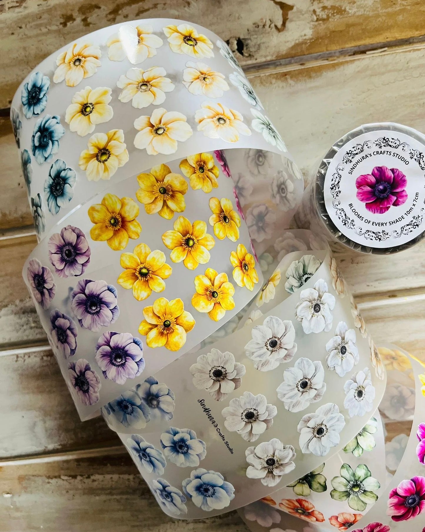 Pettape | Blooms of every shade