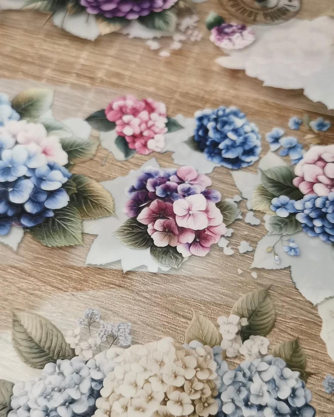 Pettape | Hydrangea shades