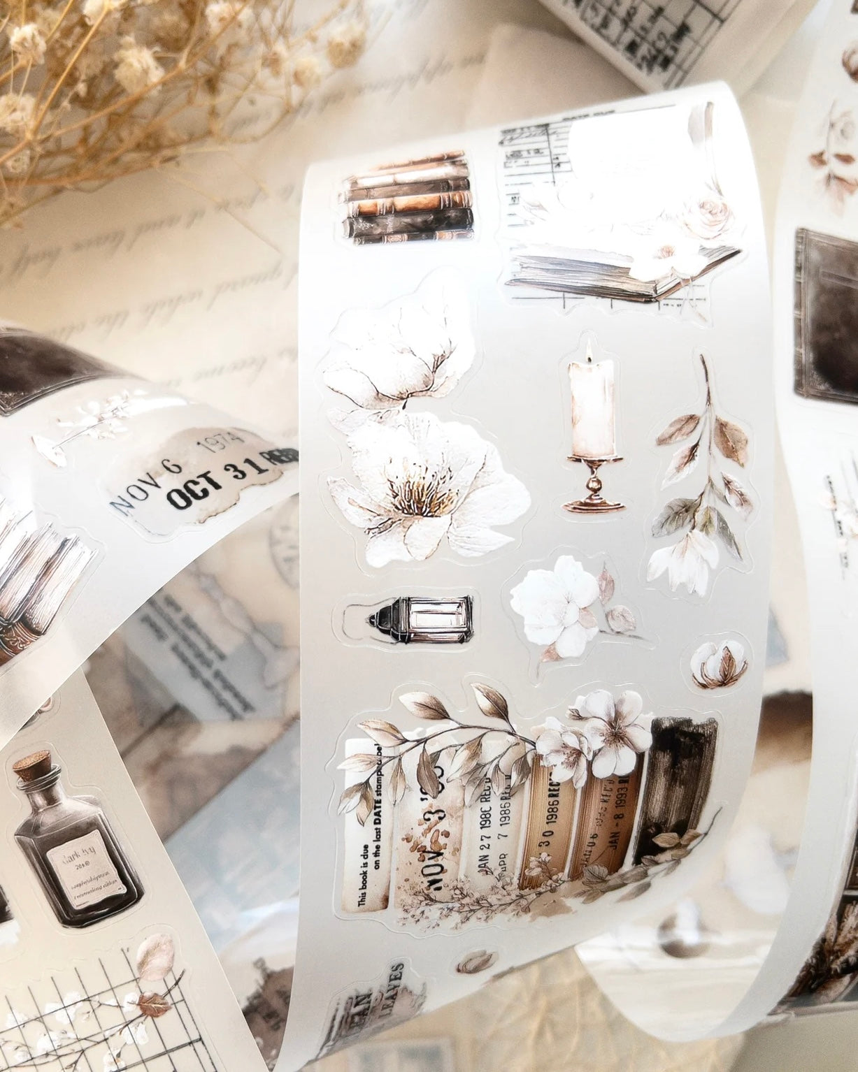 Pettape | cozy chapter