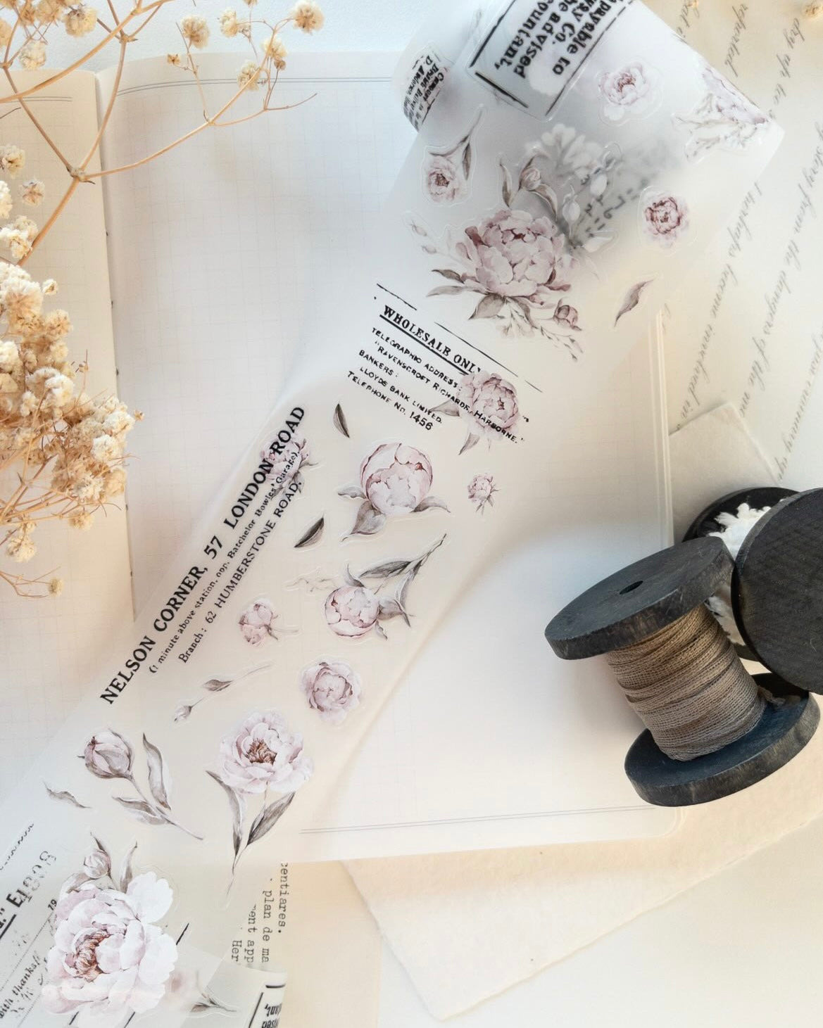 Pettape | the blooming archive