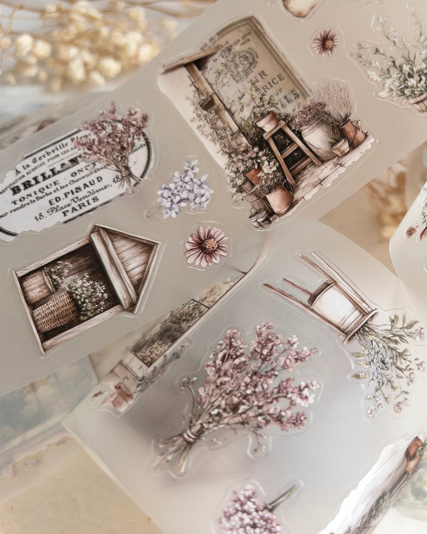 Pettape | spring cottage