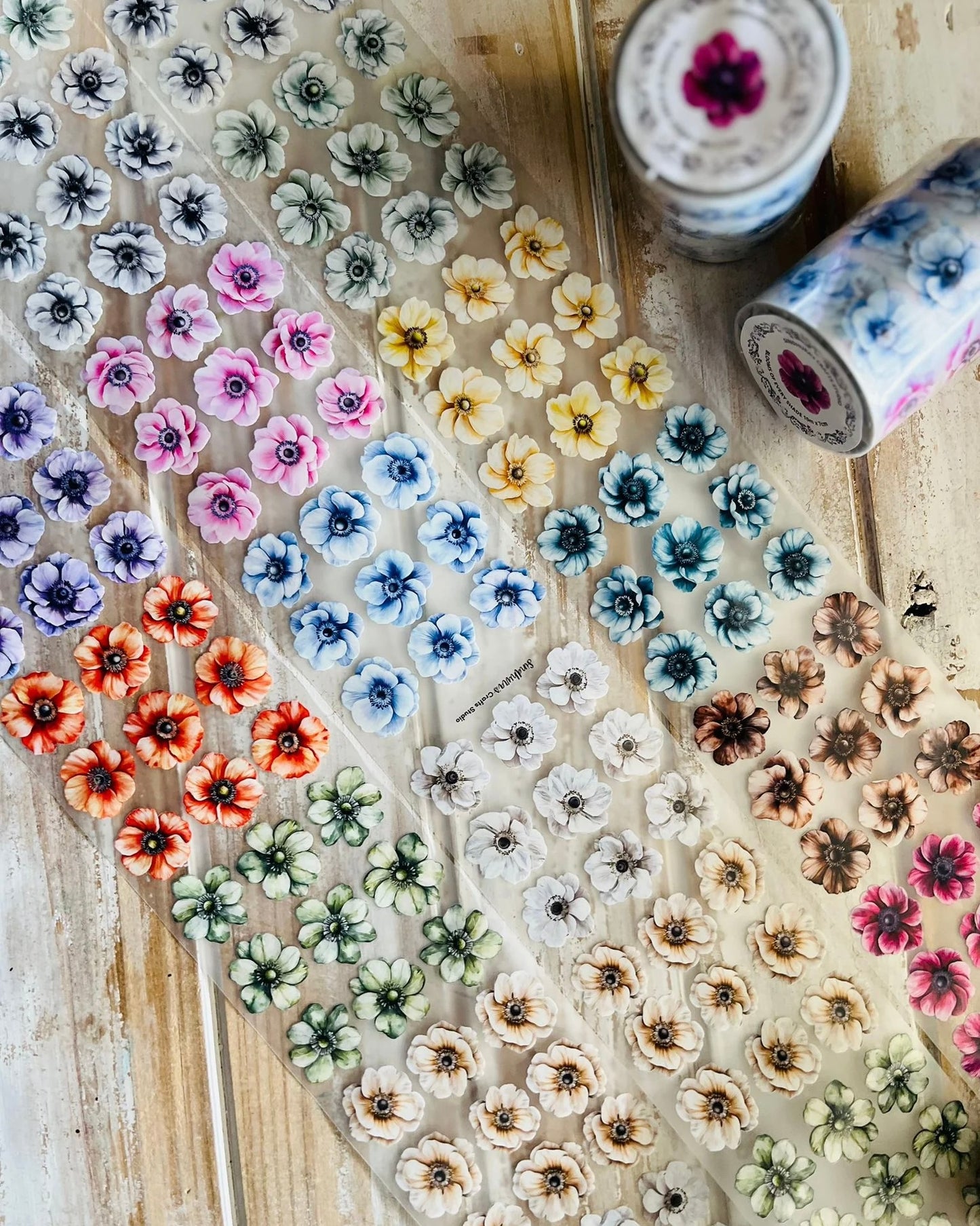 Pettape | Blooms of every shade