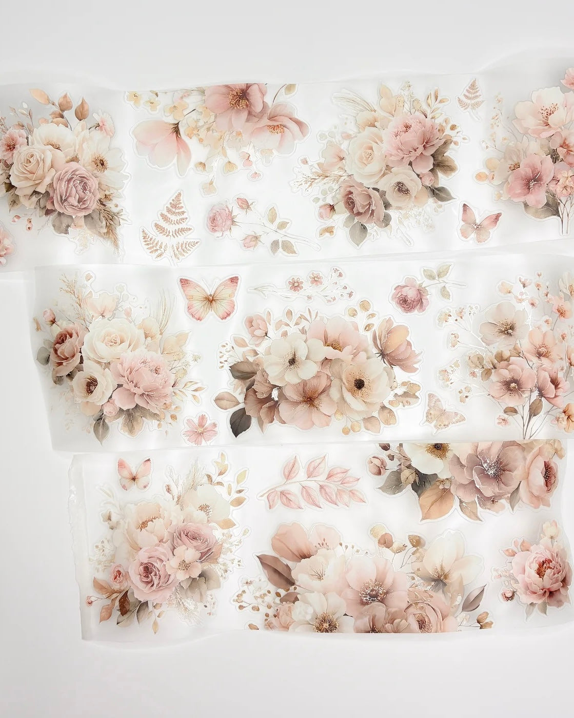 Pettape | oct26 | flowers