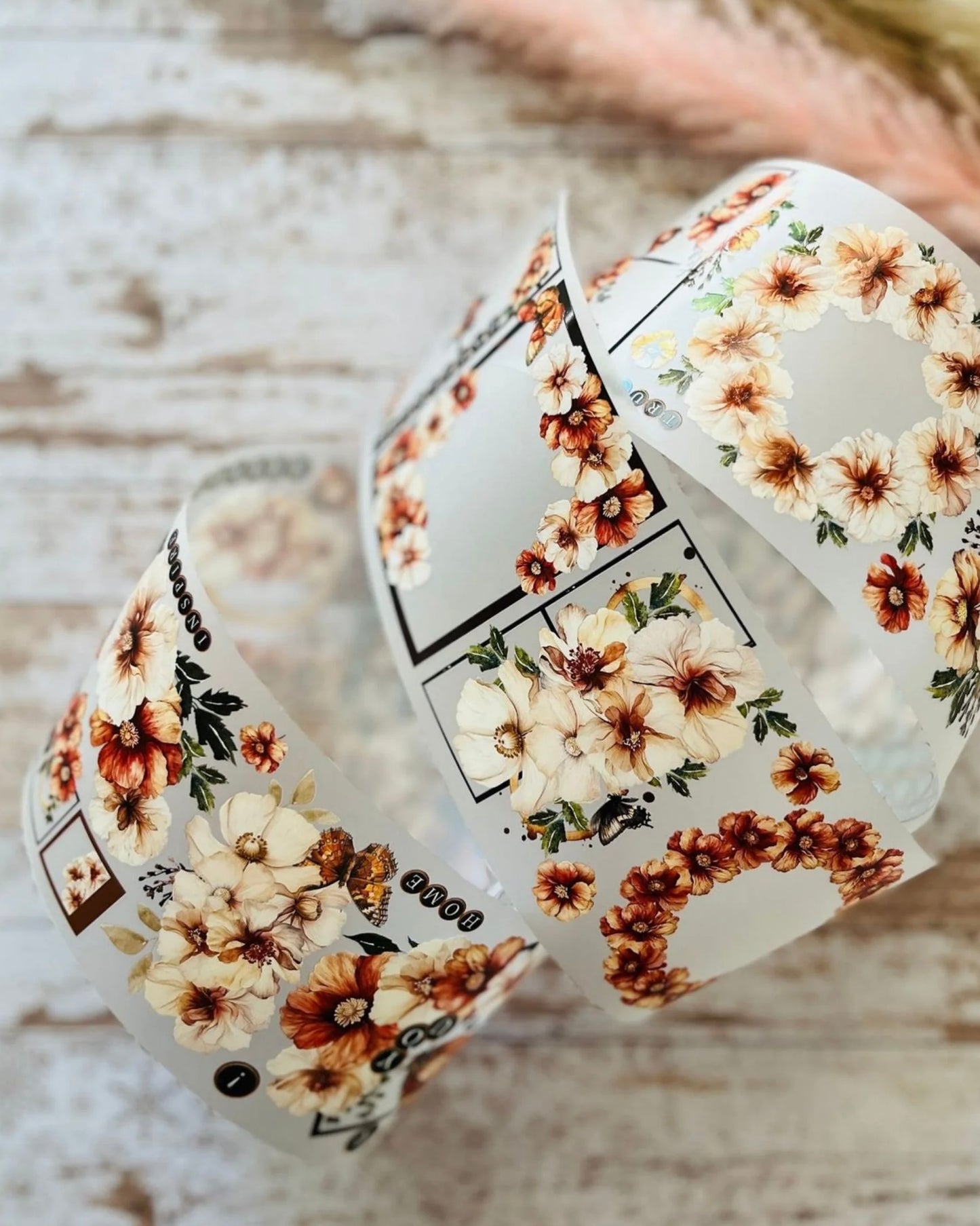 Pettape | Caffeine charm garden