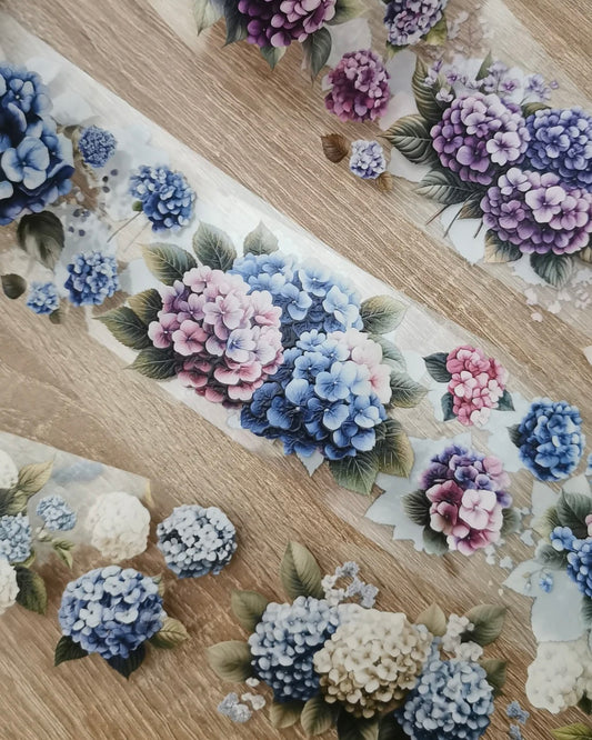 Pettape | Hydrangea shades