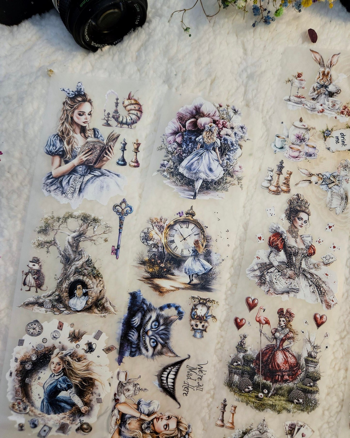 Pettape | Alice in Wonderland