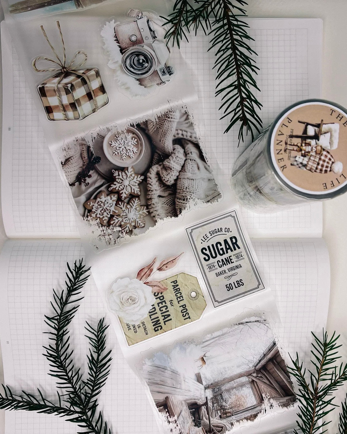 Pettape | winter love