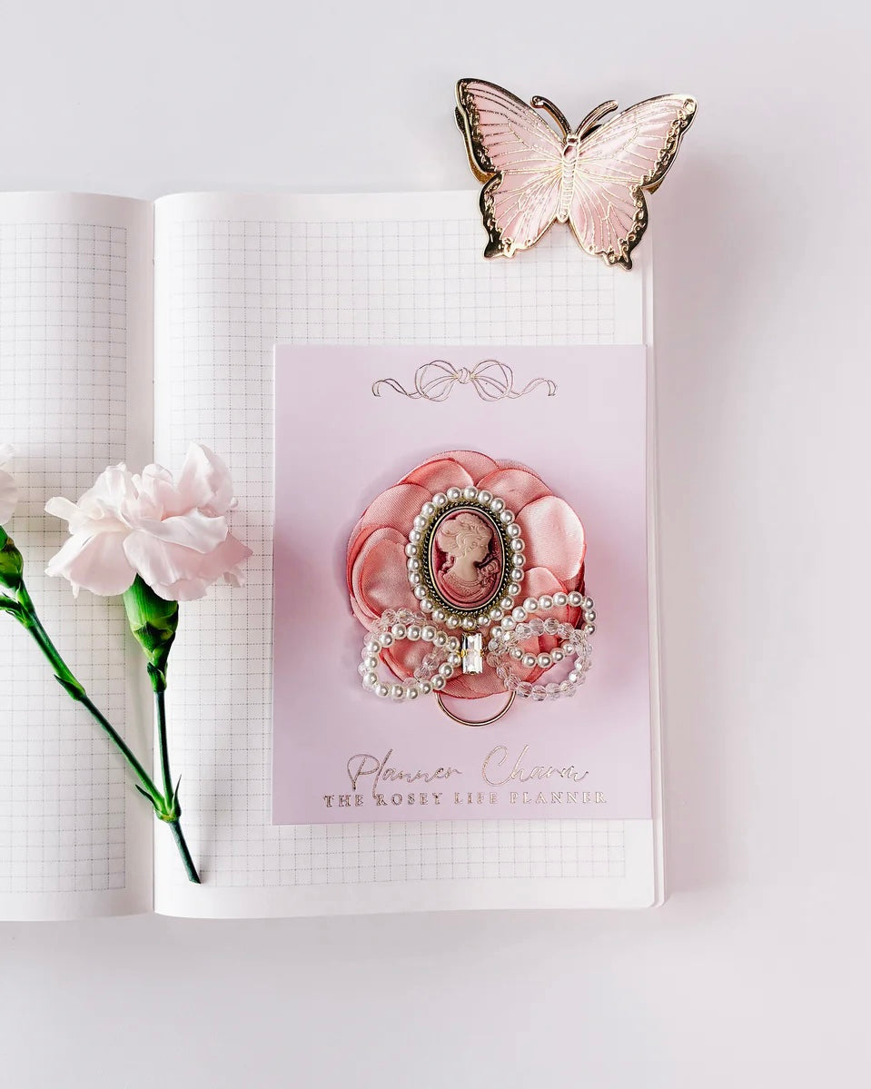 Journal paperclip | Jane Austen