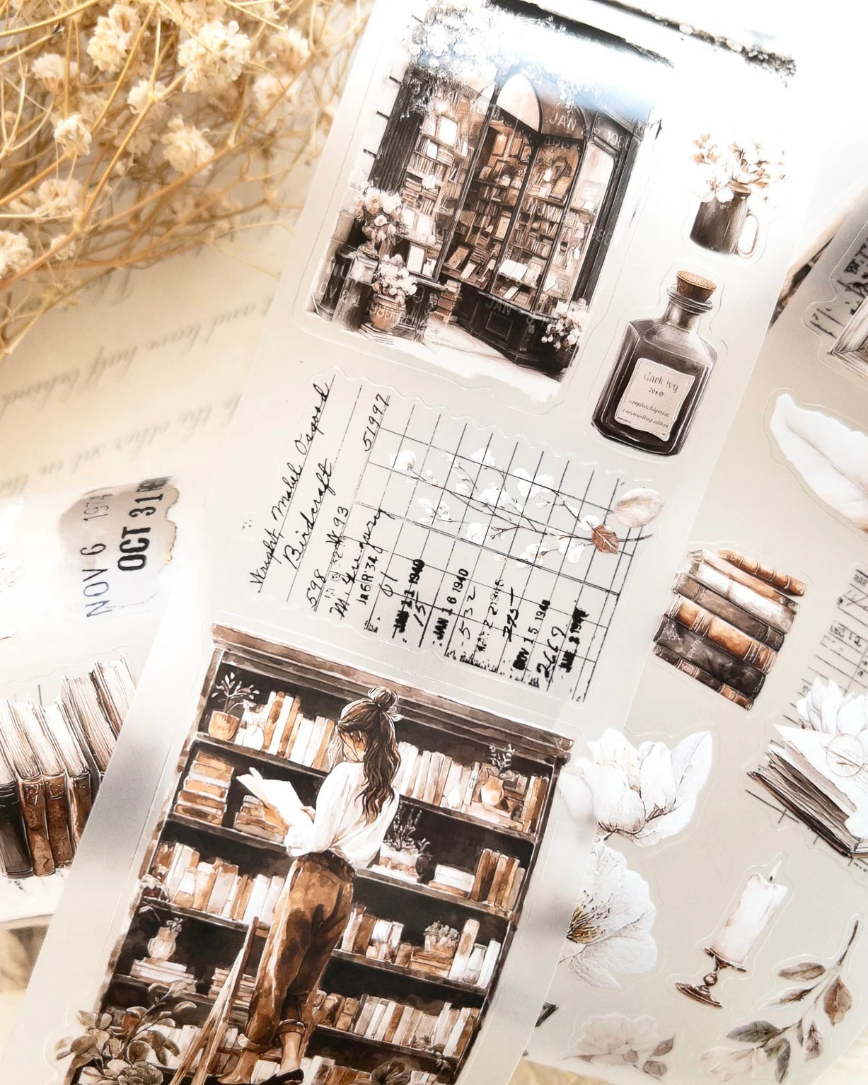 Pettape | cozy chapter