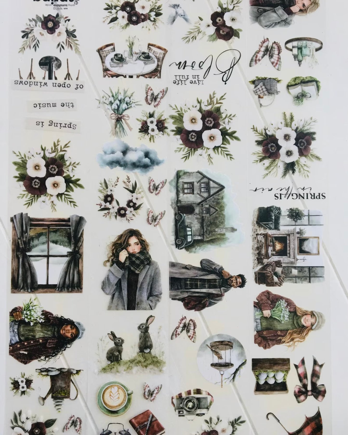 Pettape | early spring