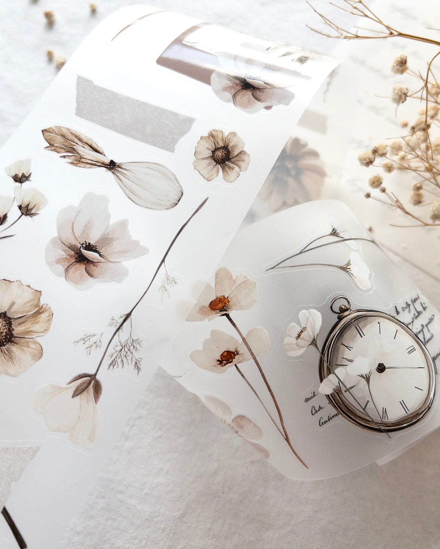 Pettape | timeless