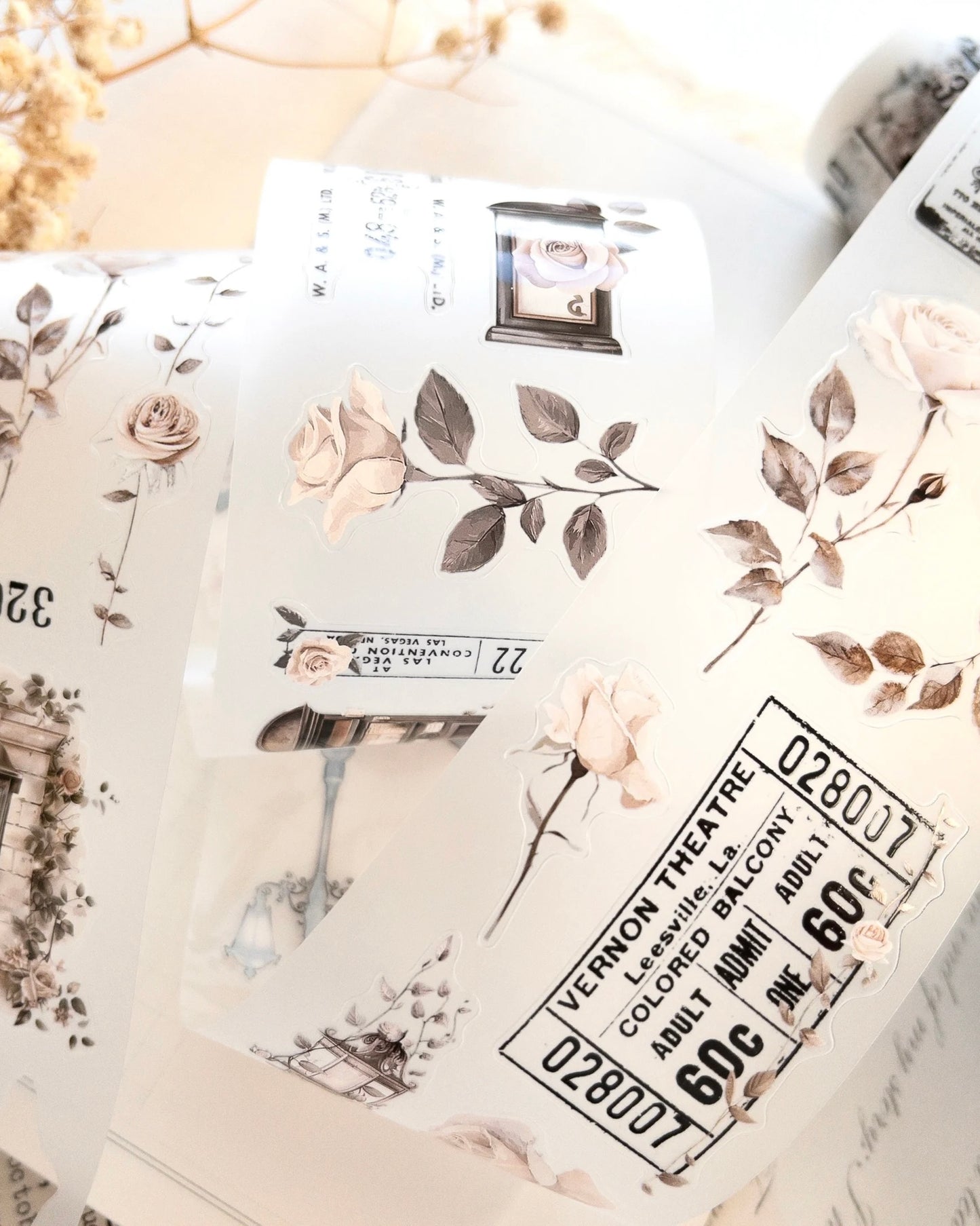 Pettape | rose post