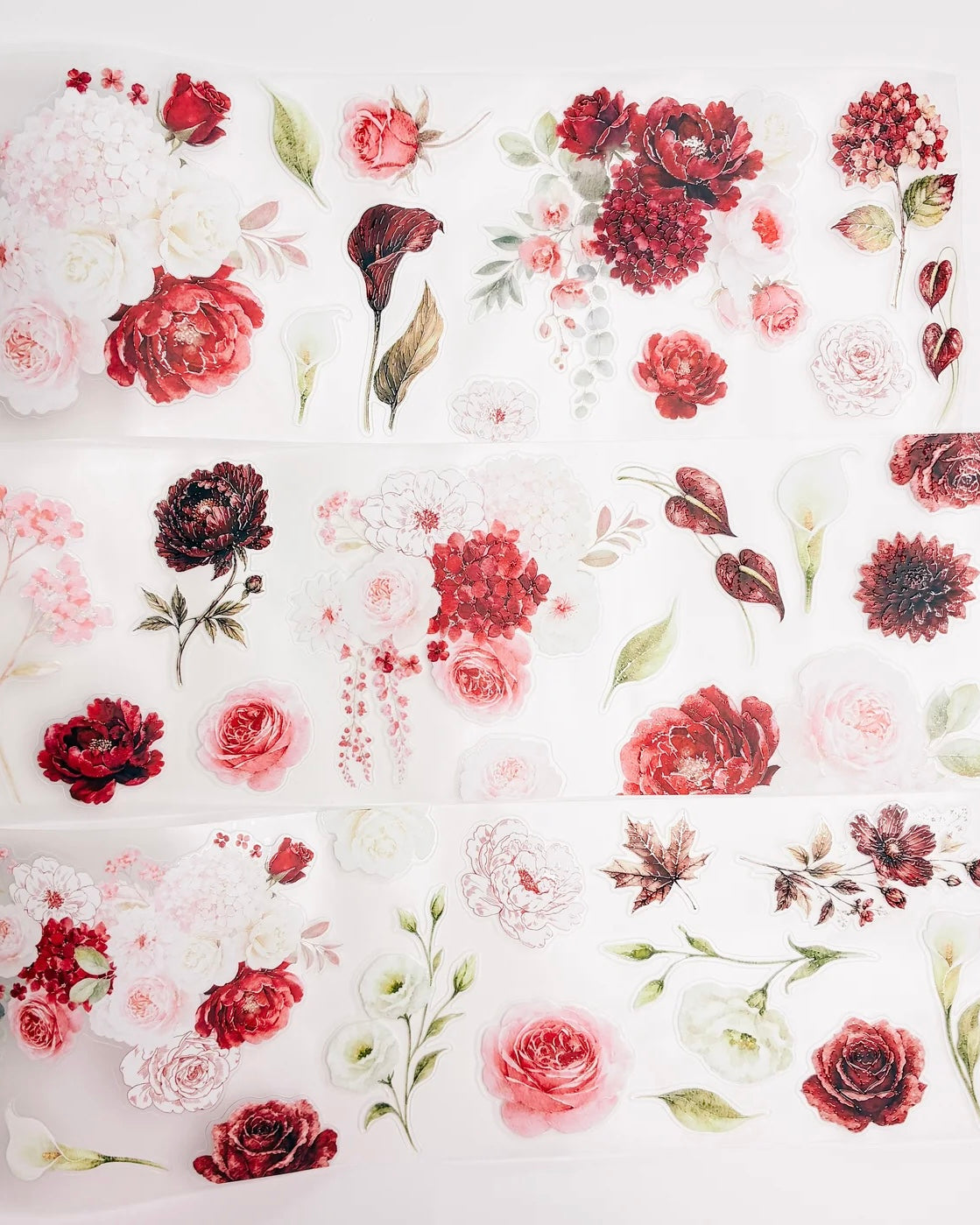 Pettape | Sept26 | flowers