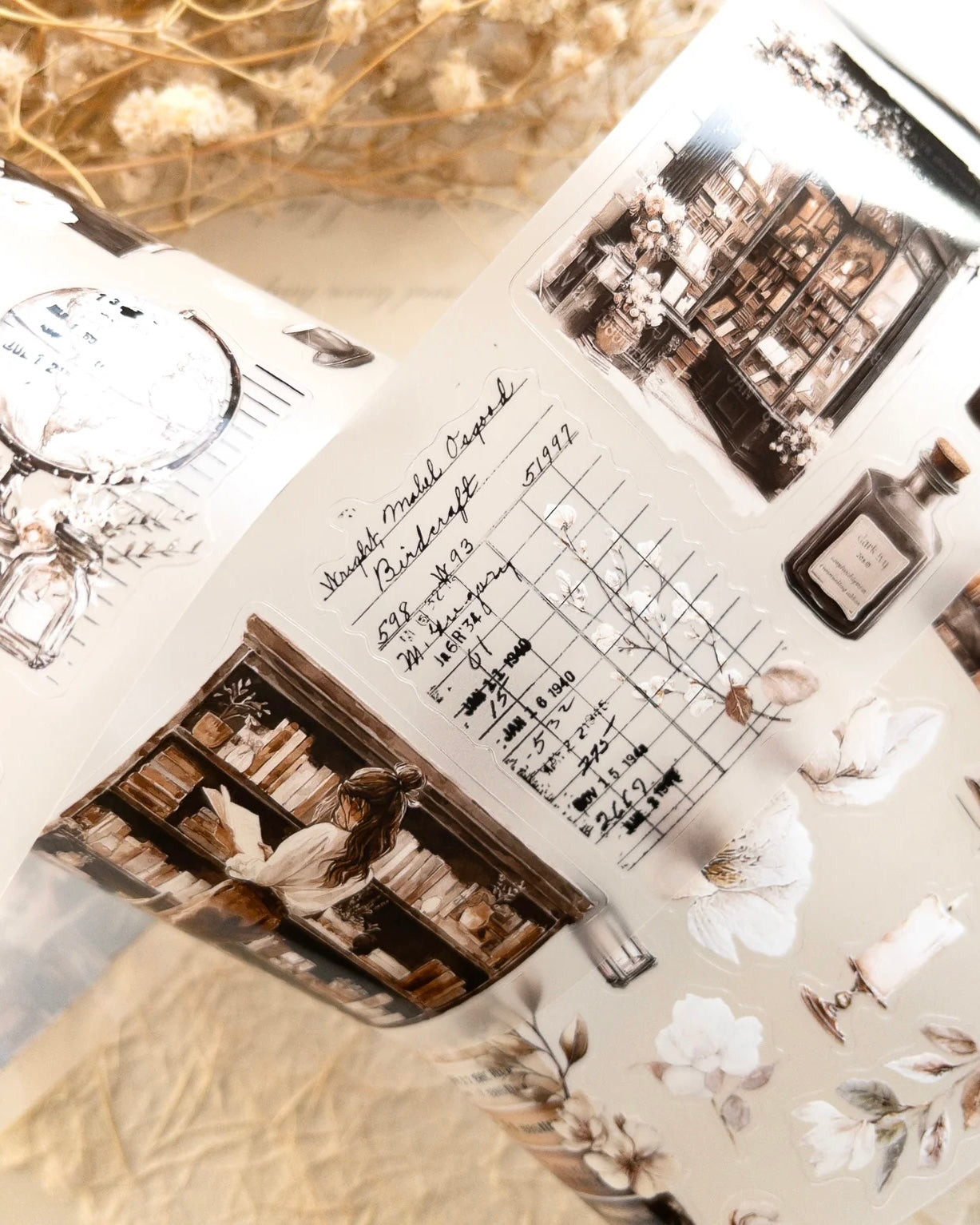 Pettape | cozy chapter