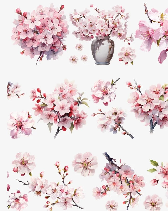 Pettape | Cherry blossom