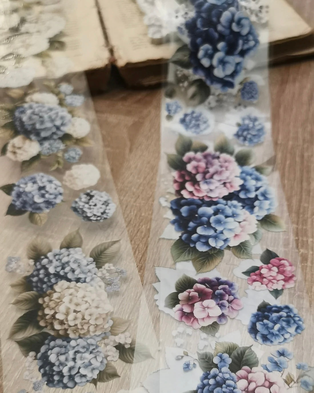 Pettape | Hydrangea shades