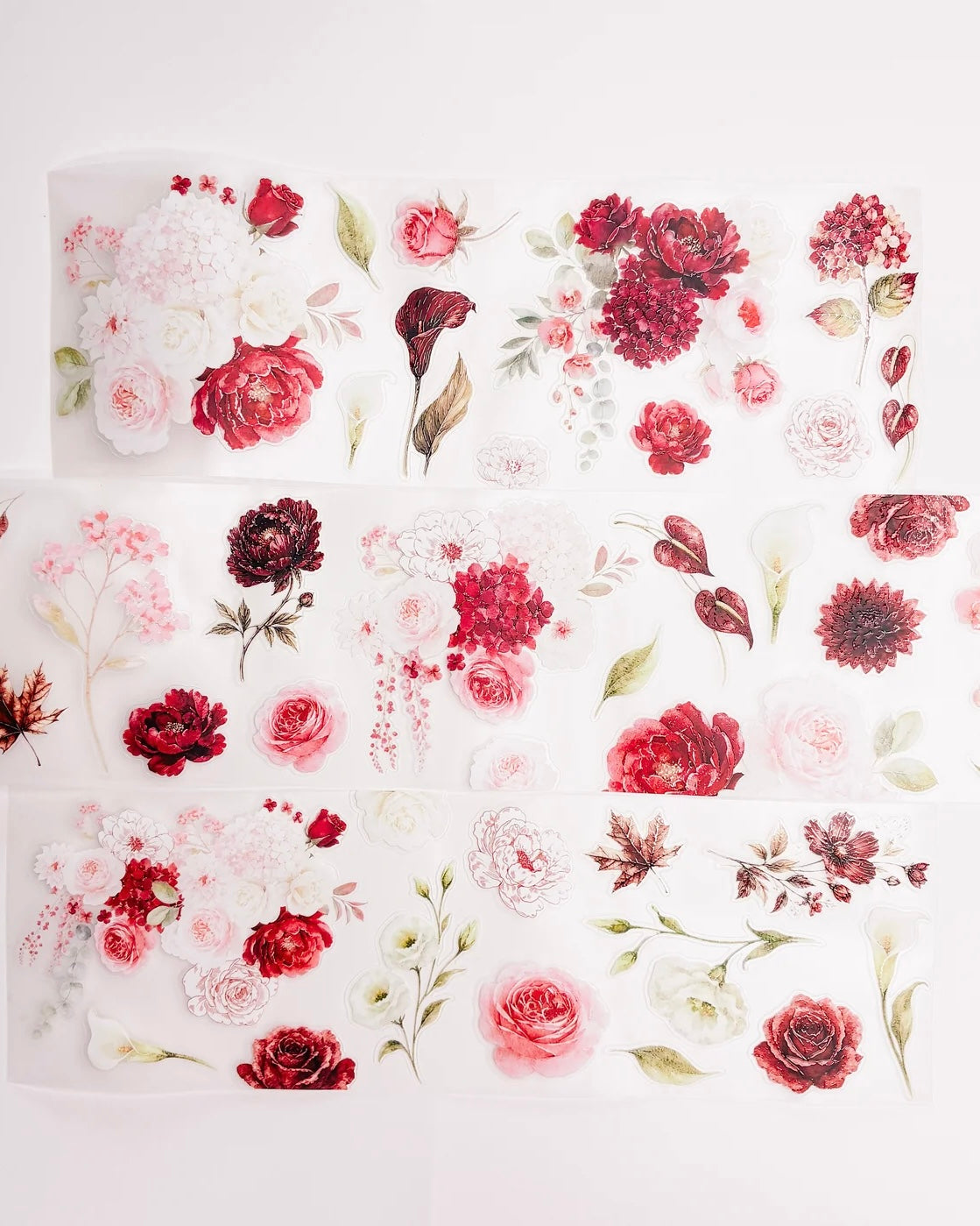 Pettape | Sept26 | flowers