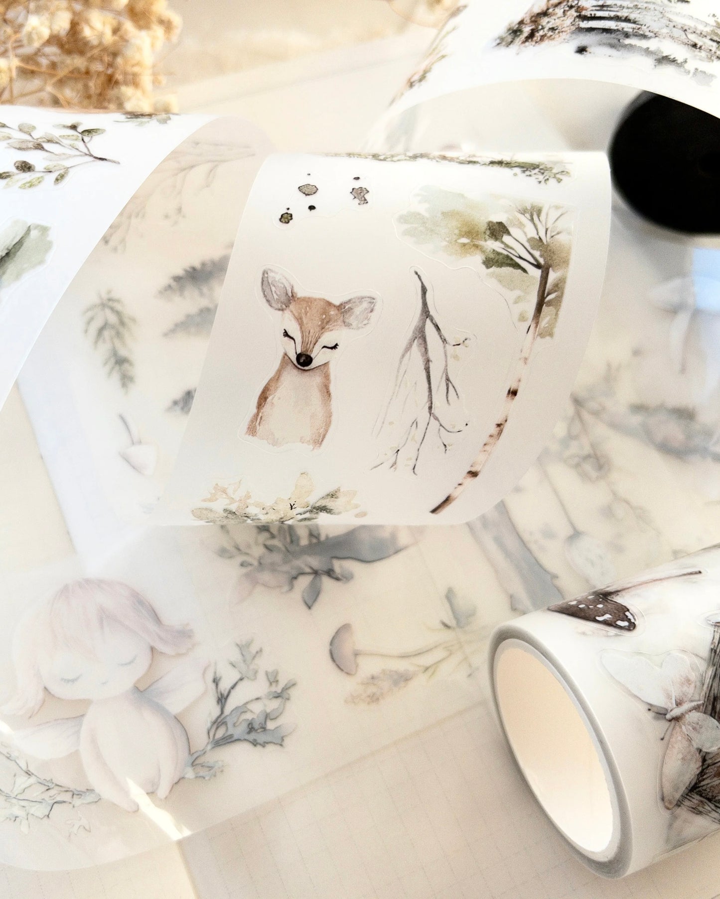 Pettape | Enchanted Forest