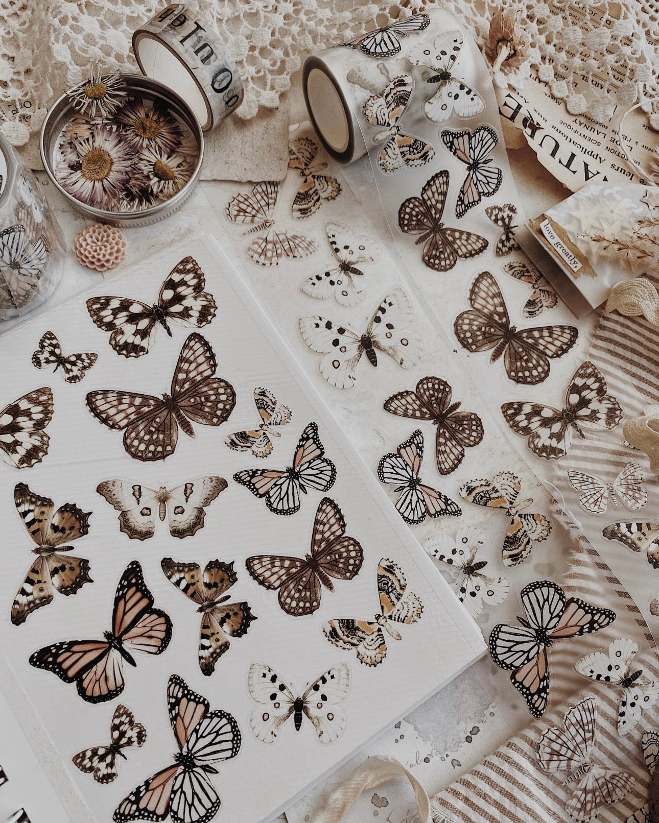 Pettape | ALHM | butterfly’s