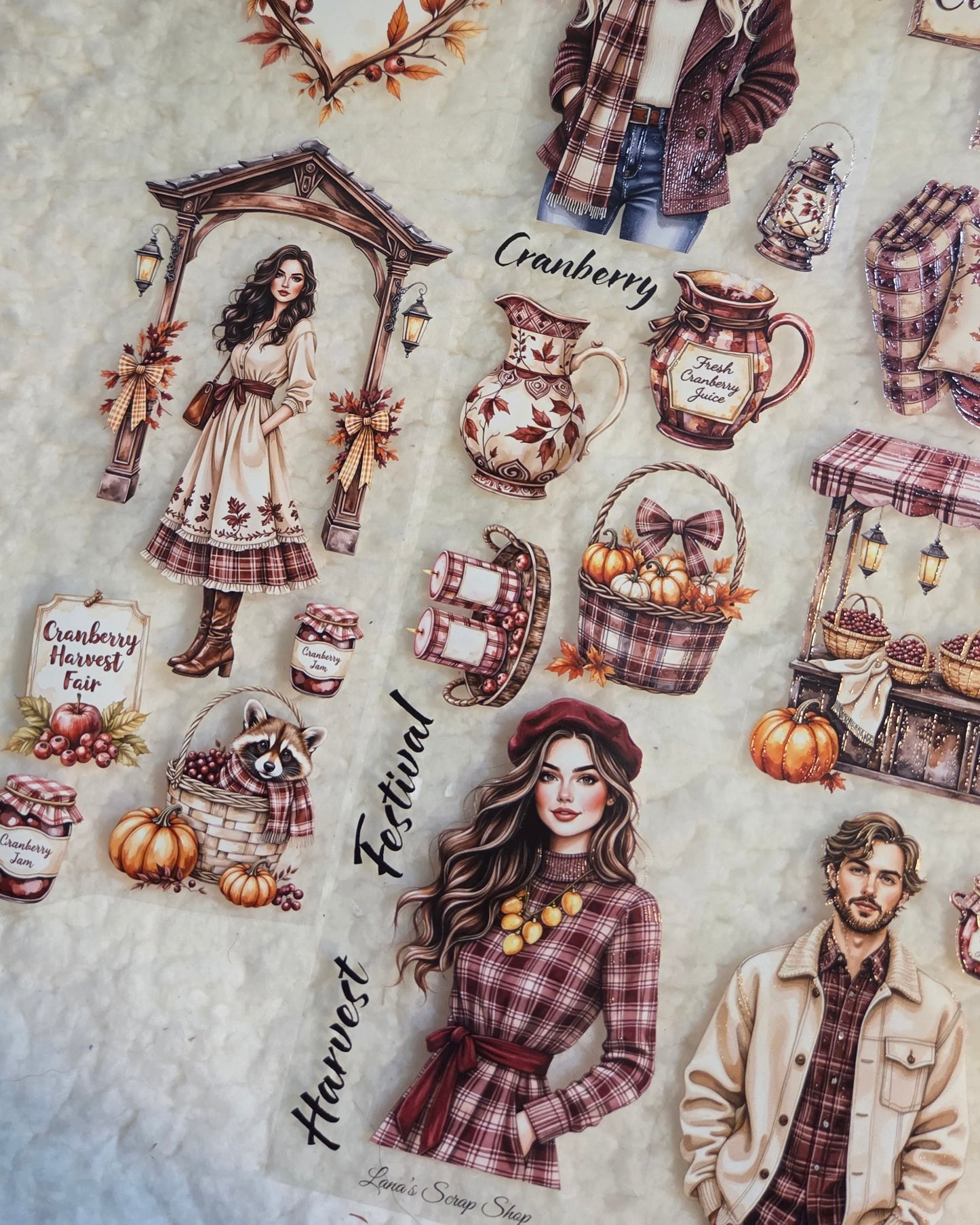 Pettape | cranberry harvest fair