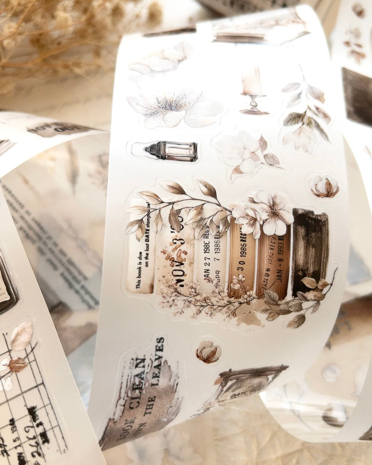 Pettape | cozy chapter