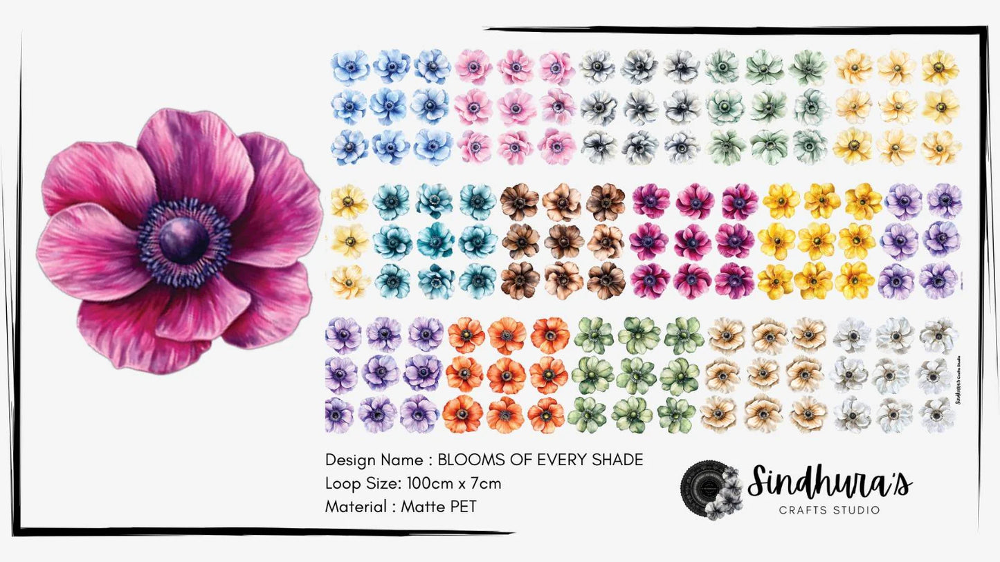 Pettape | Blooms of every shade