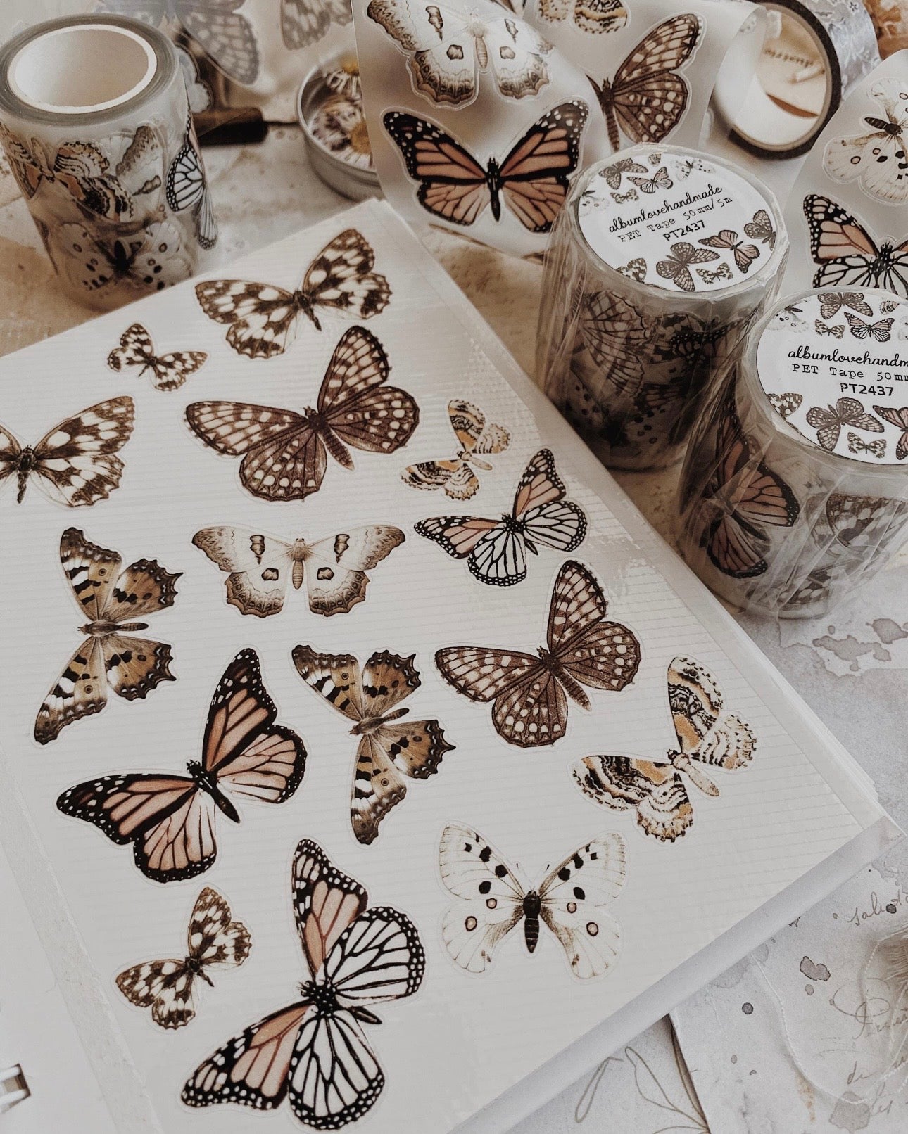 Pettape | ALHM | butterfly’s