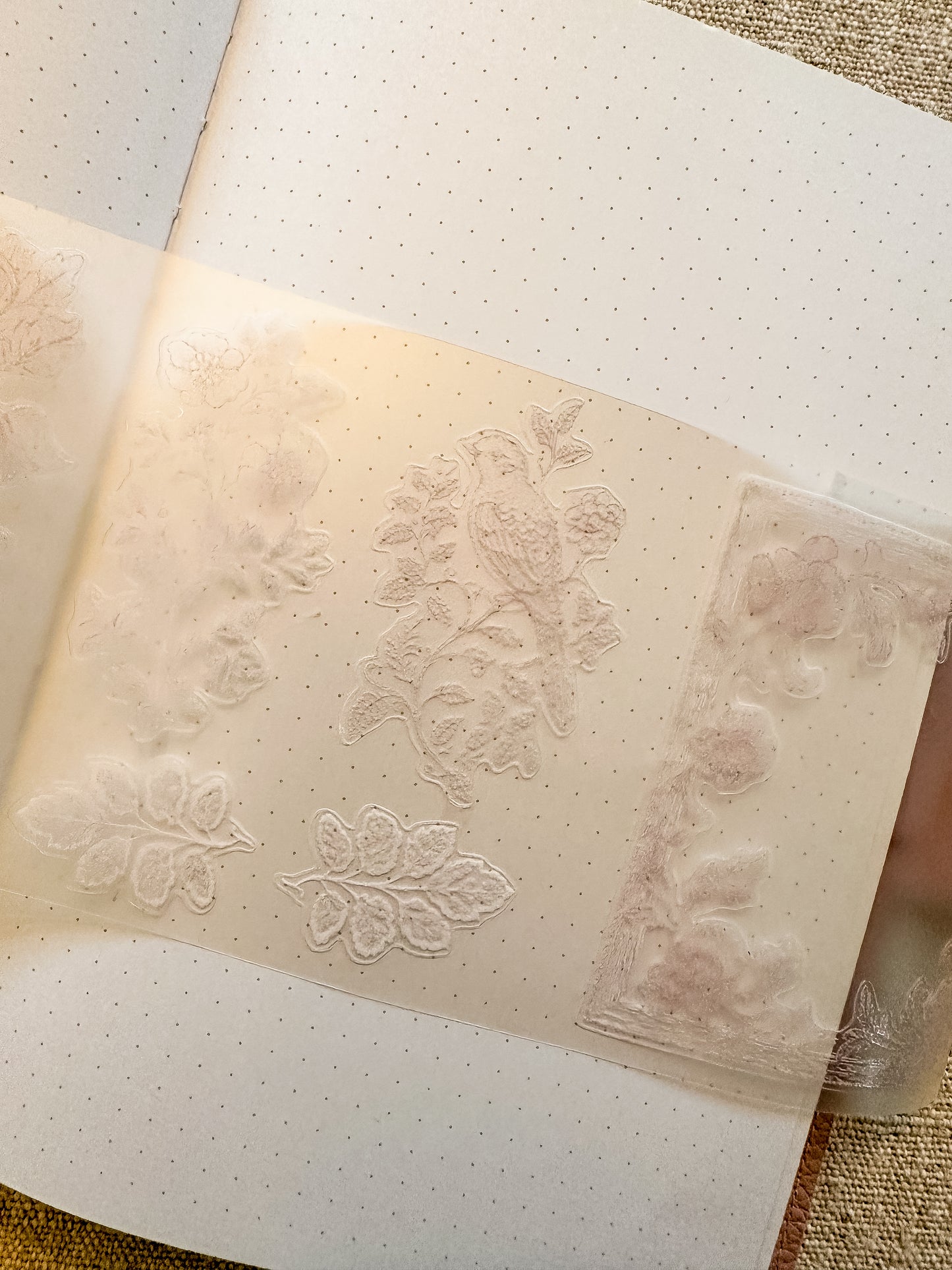 Pettape | big frames