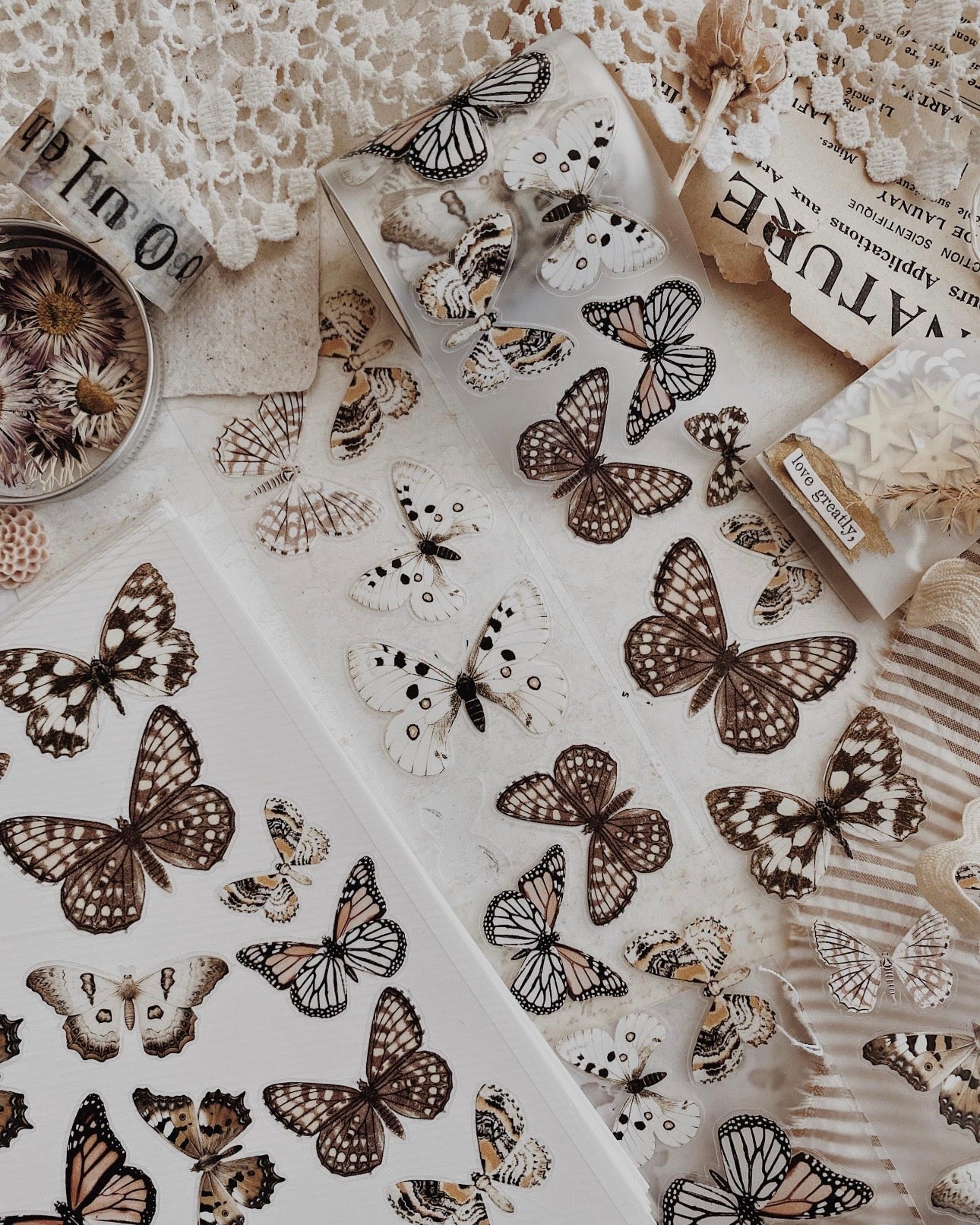 Pettape | ALHM | butterfly’s