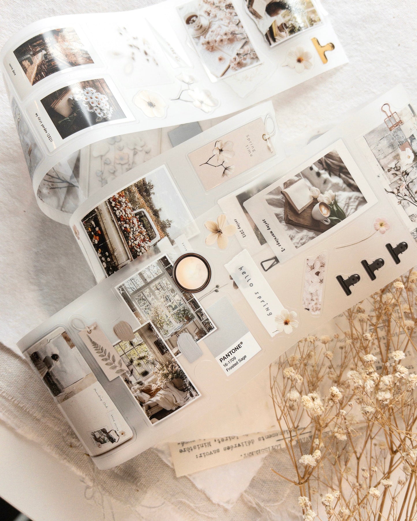 Pettape | spring in my journal
