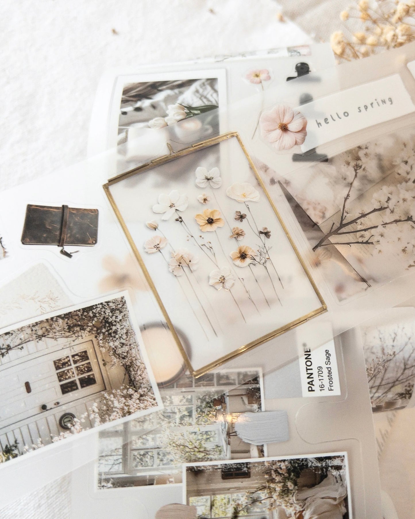 Pettape | spring in my journal
