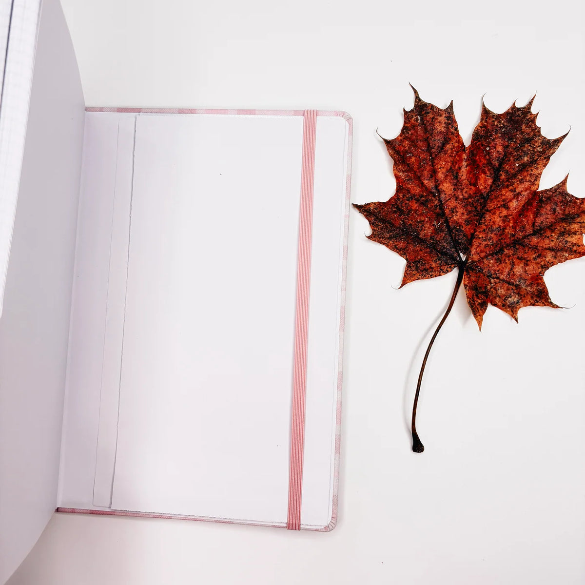 Planner Rosey  | cozy fall 3.0