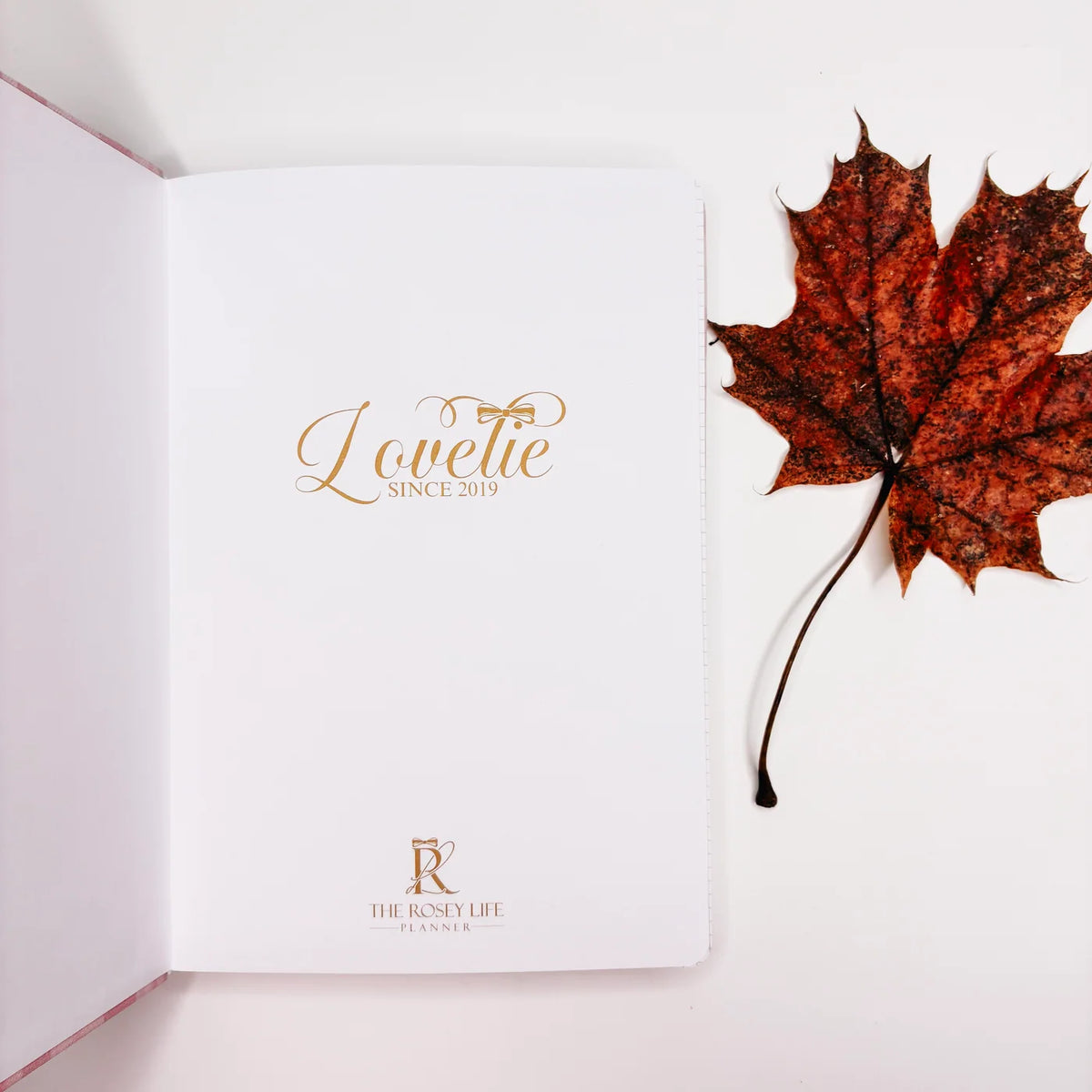 Planner Rosey  | cozy fall 3.0