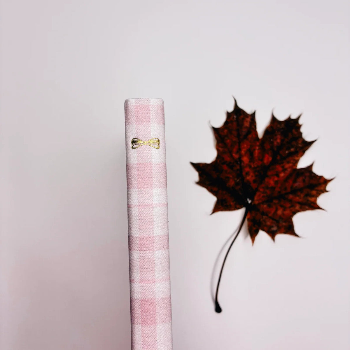 Planner Rosey  | cozy fall 3.0