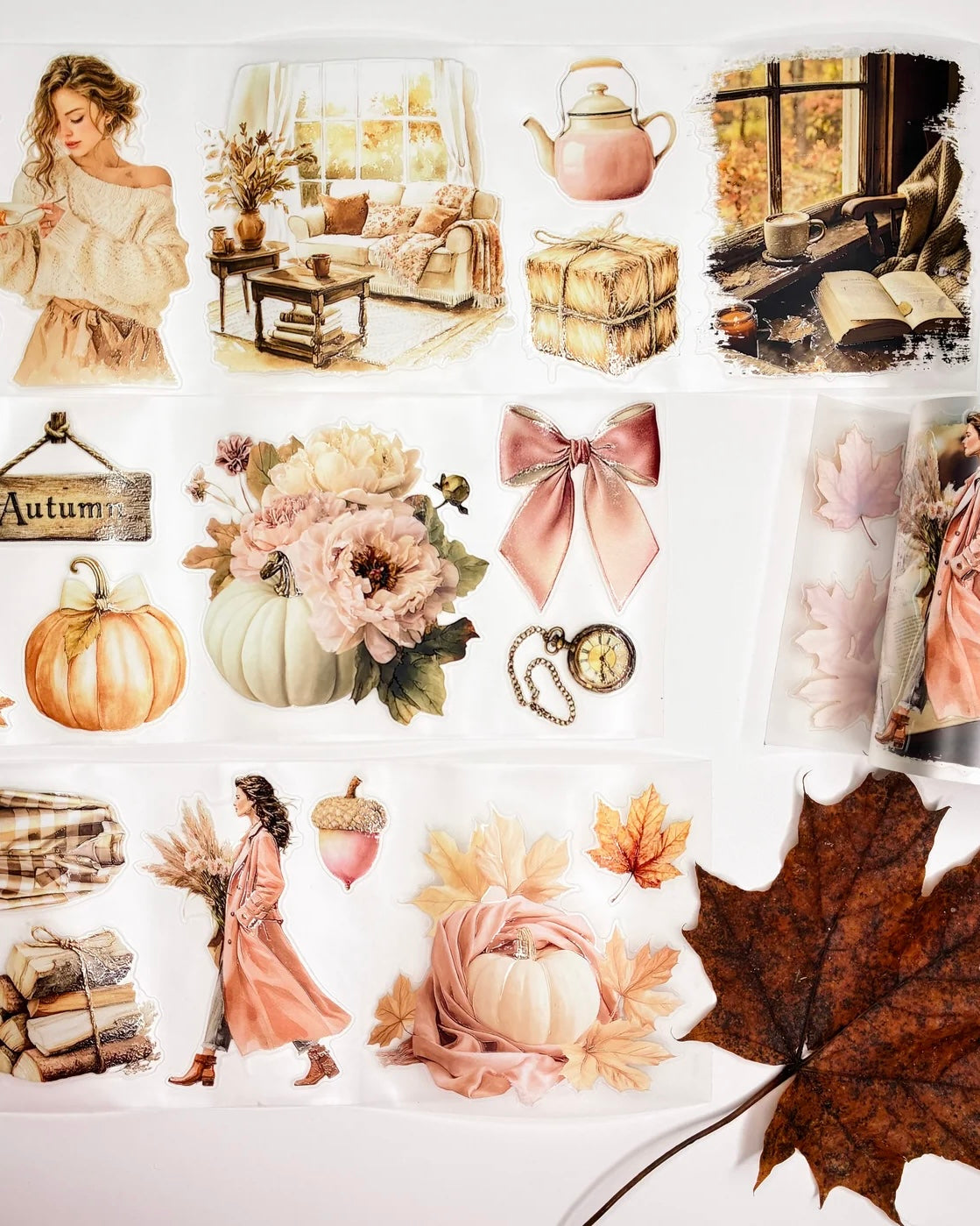 Pettape | cozy fall 3.0 (2)
