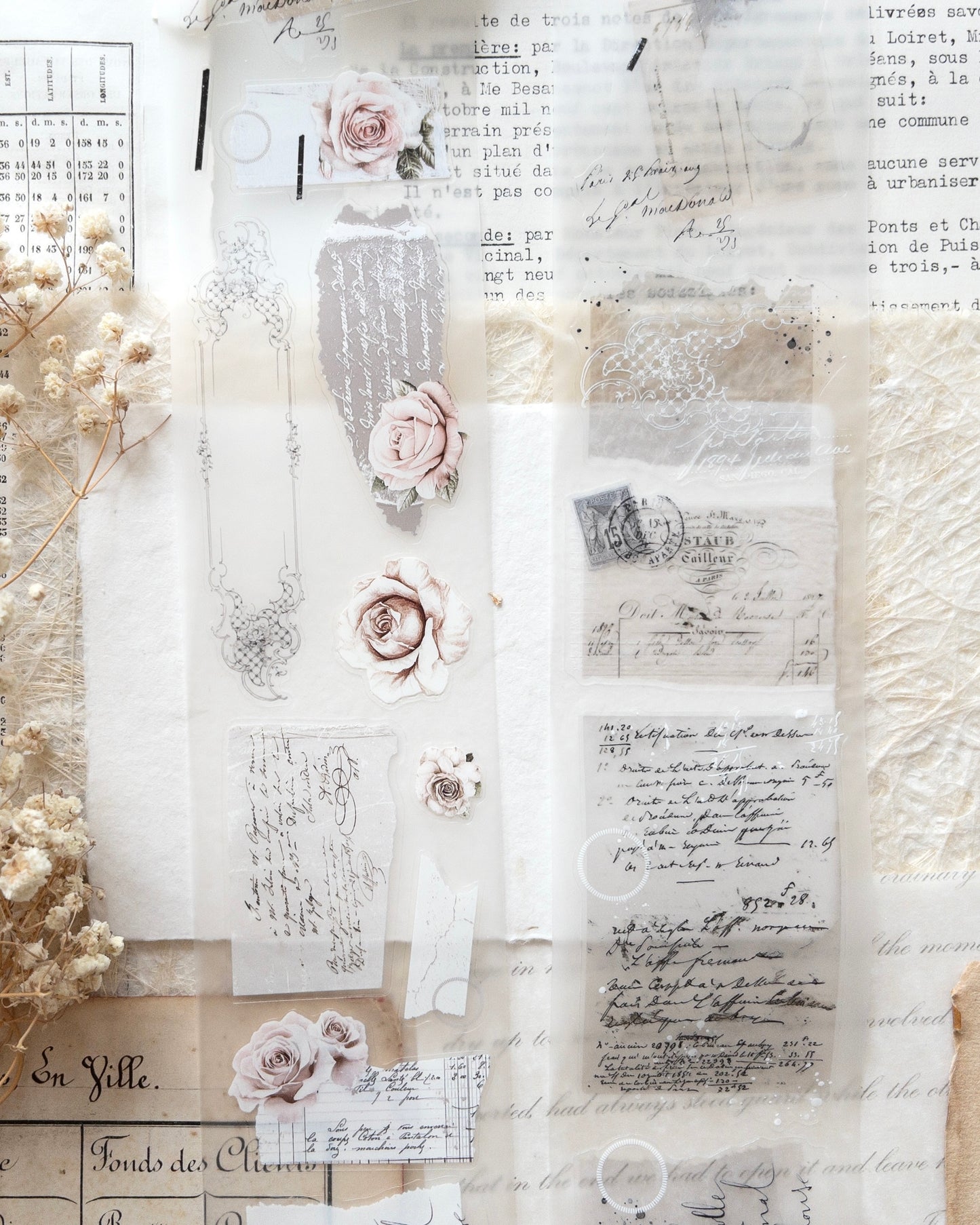 Pettape | French romance roses